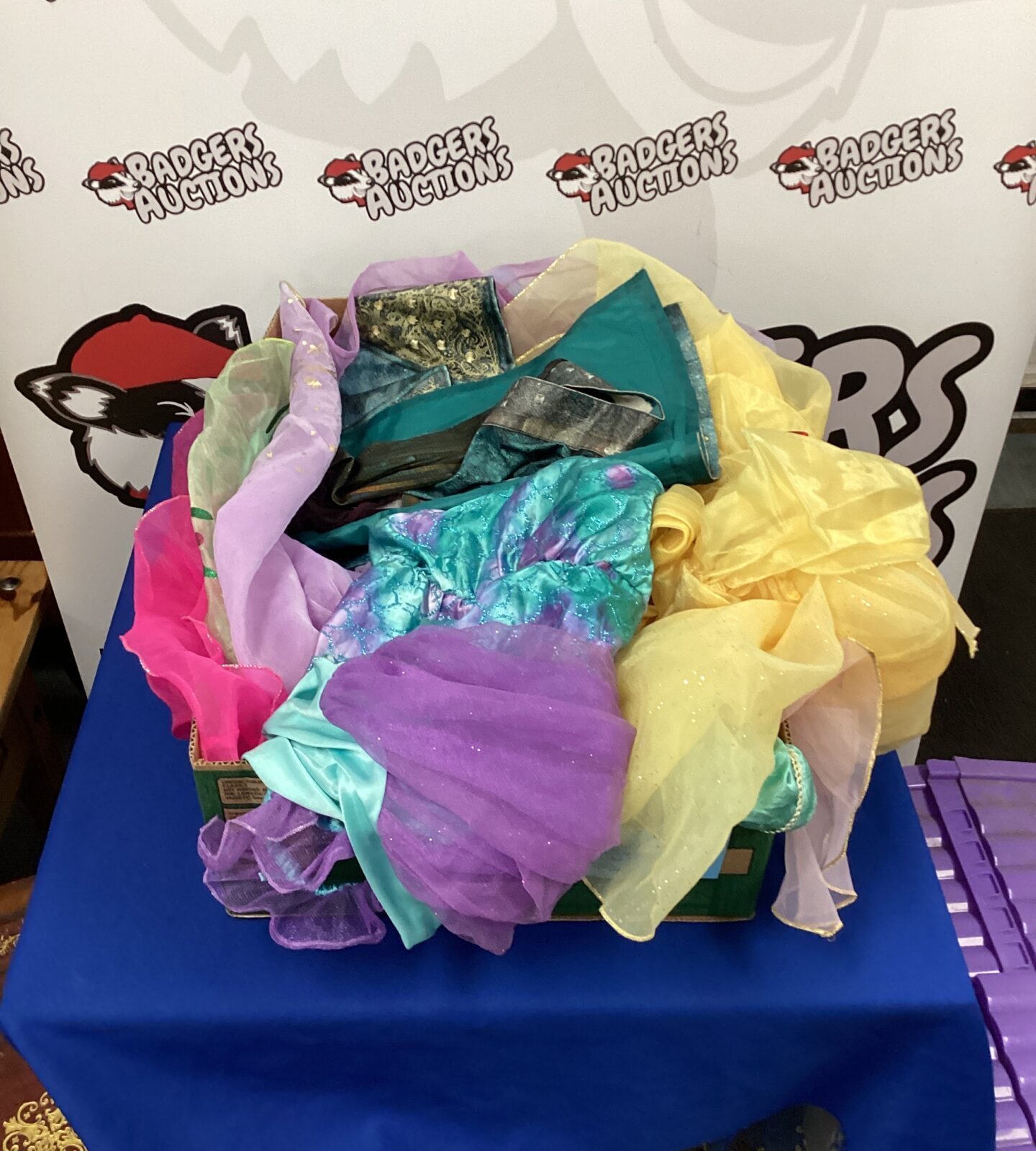 Box of kids Disney princess dress up costumes inc belle & sleeping beauty