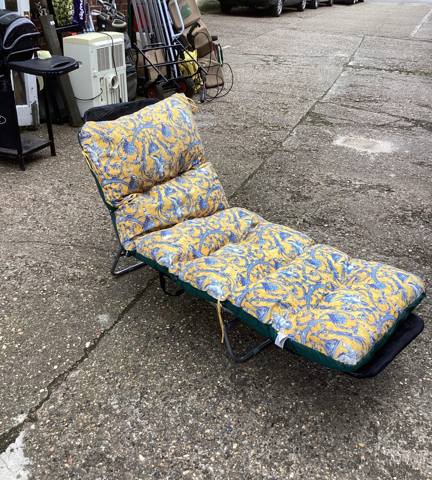 Garden Sun lounger with cushion
