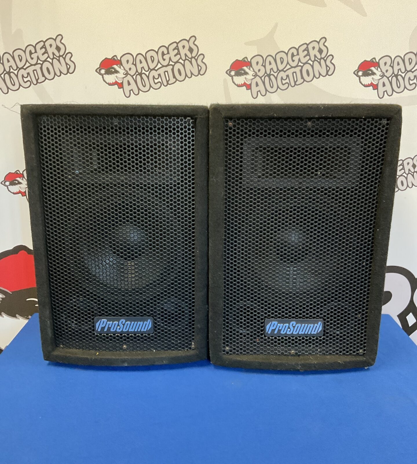 Pair of pro sound 8” pa speakers