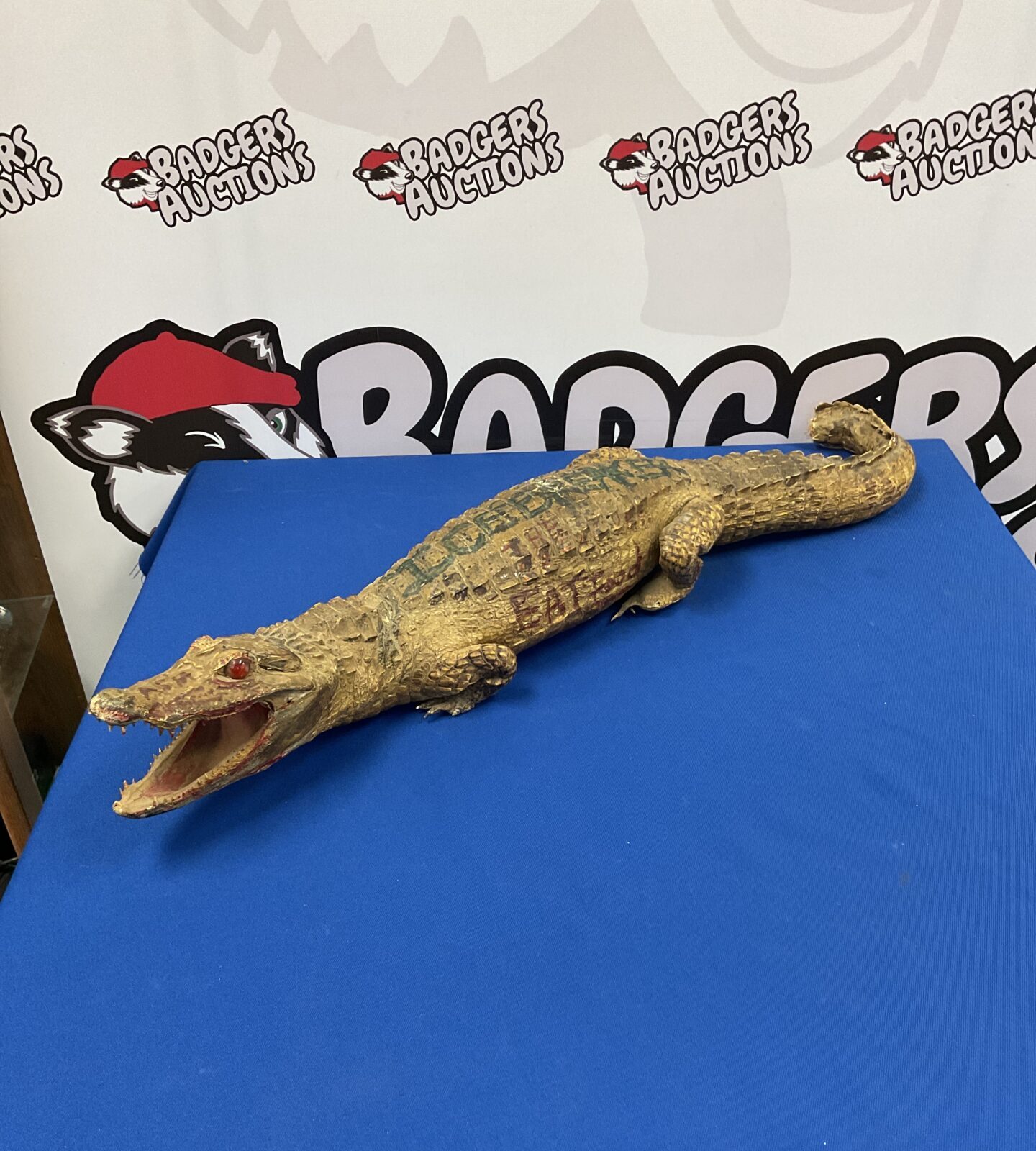 Taxidermy crocodile 2.5ft long (in poor condition)