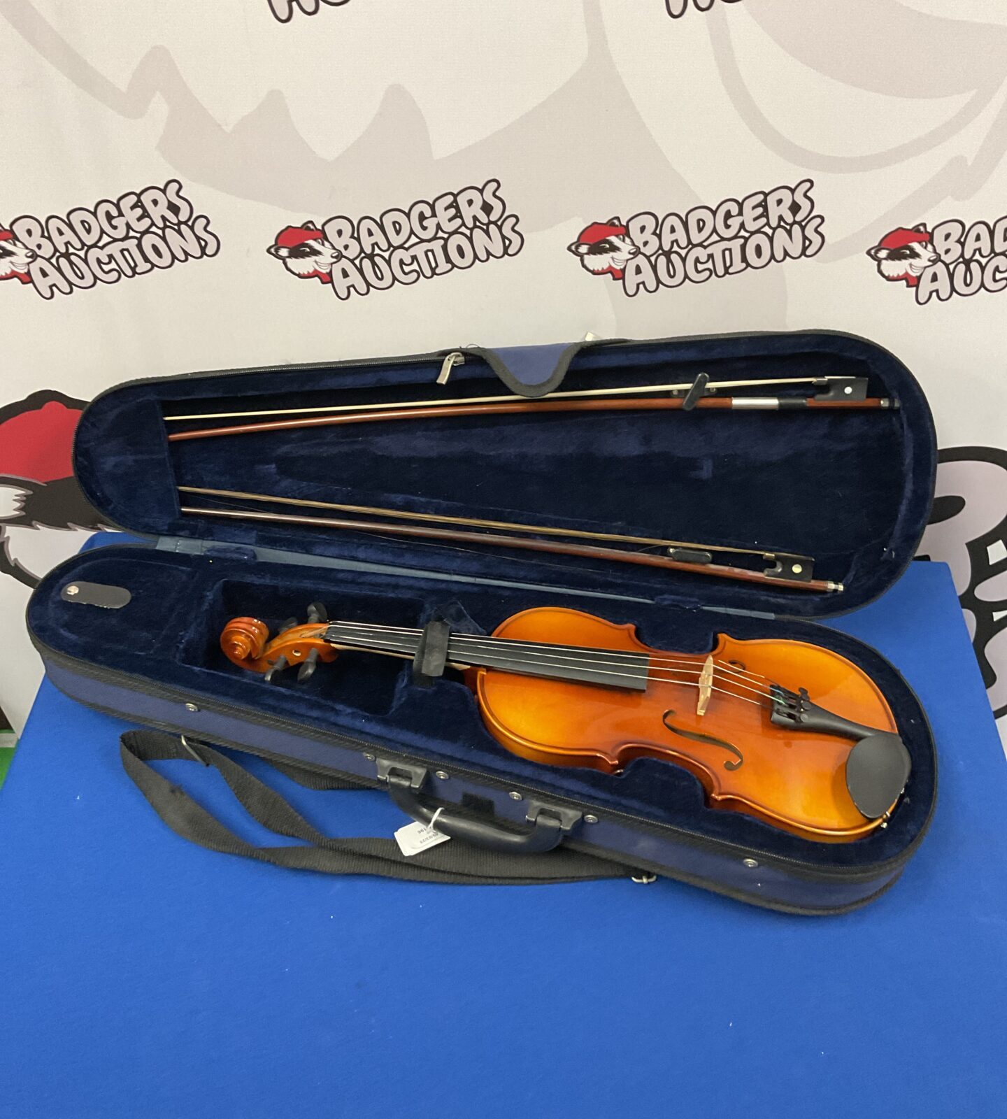 Violin in case with bows