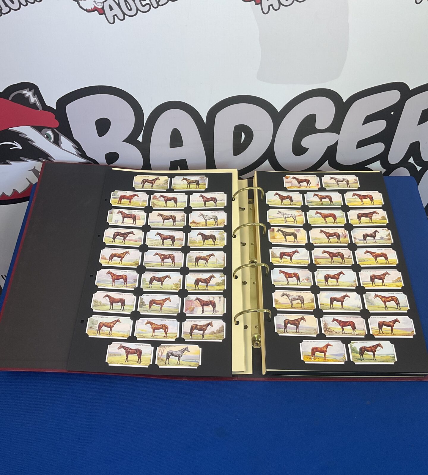 Card collectors society album with over 700 cigarette cards