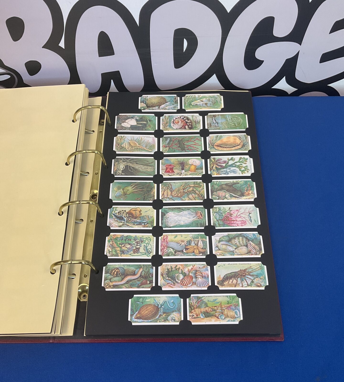 Card collectors society album with over 700 cigarette cards - Image 3
