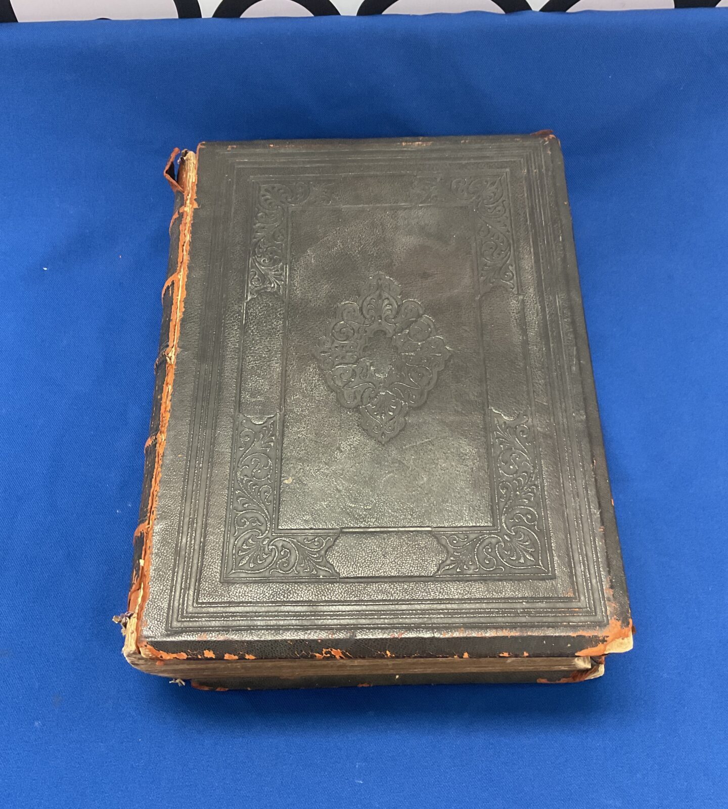 1892 w h mcfarlane illustrated holy bible