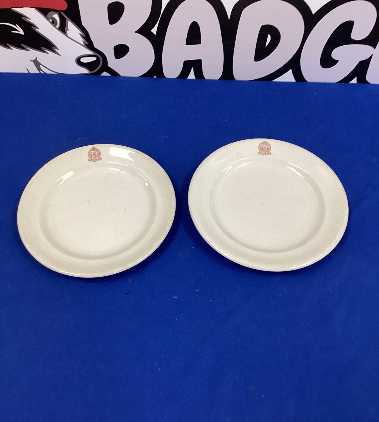 Two vintage NAFFI plates