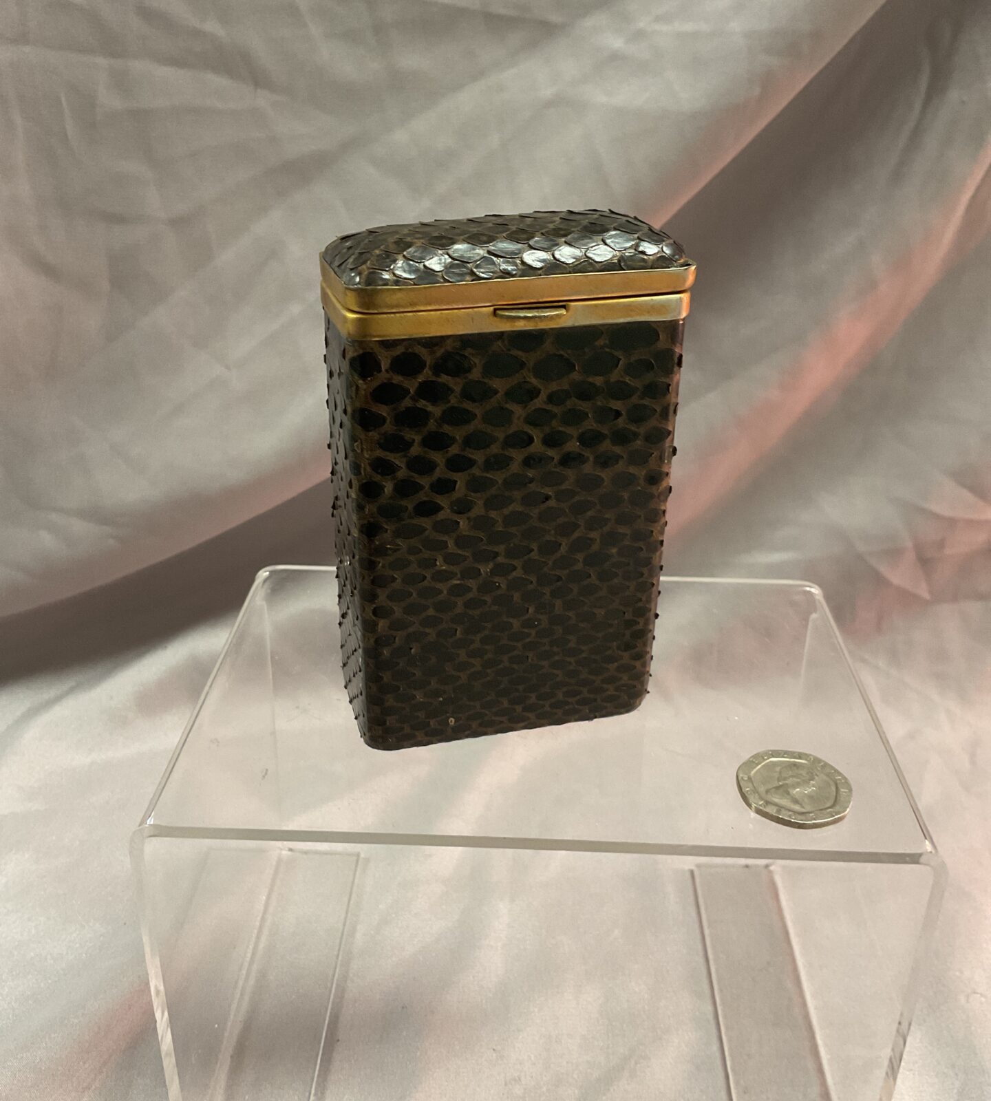 Vintage snakeskin Cigarette Case