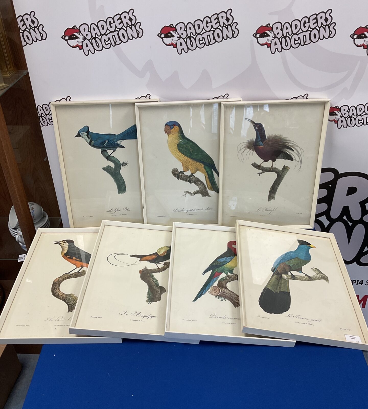 Set of 7 barraband punx birds of paradise prints
