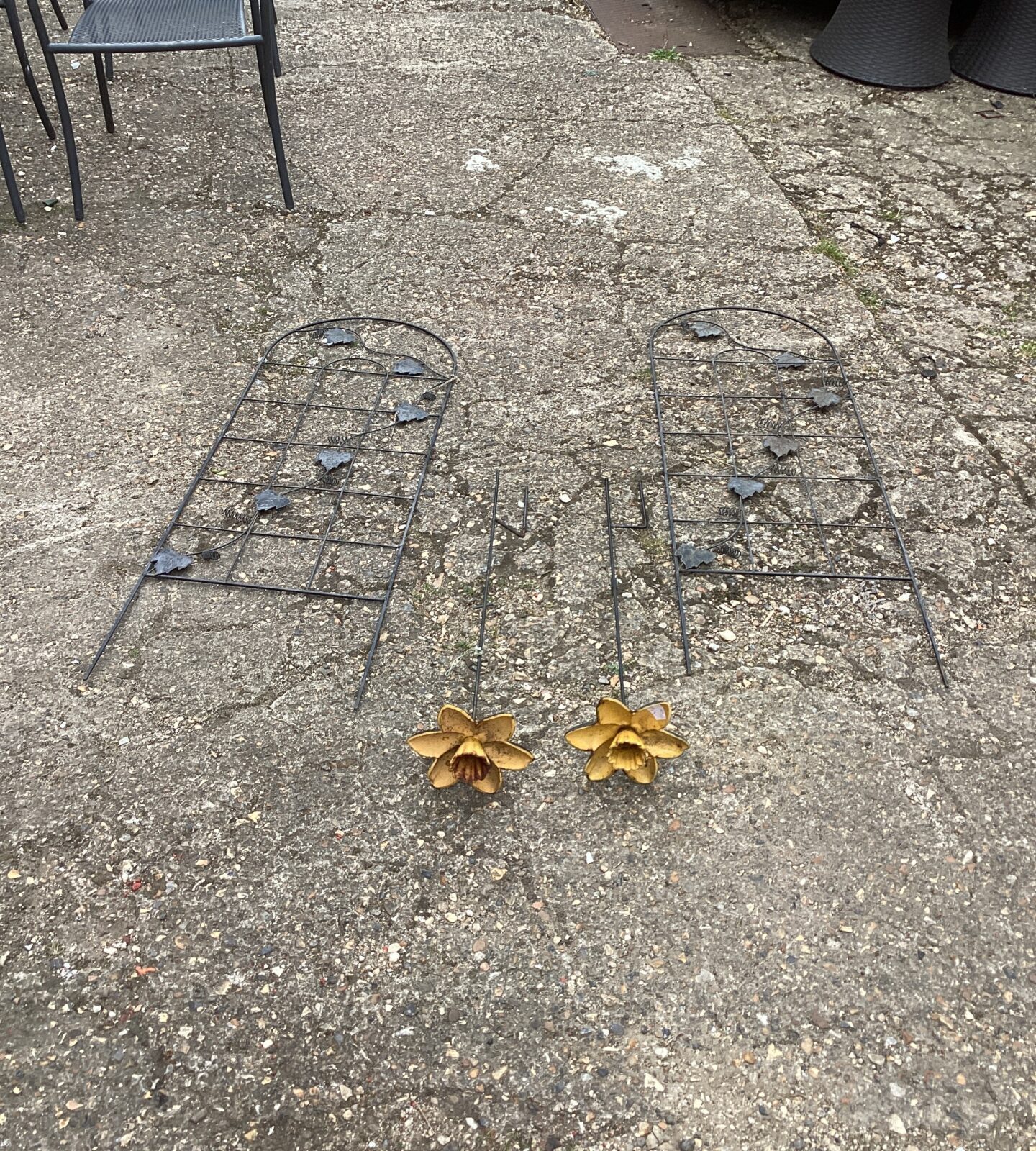 Two metal flowers and Bean climbing frames