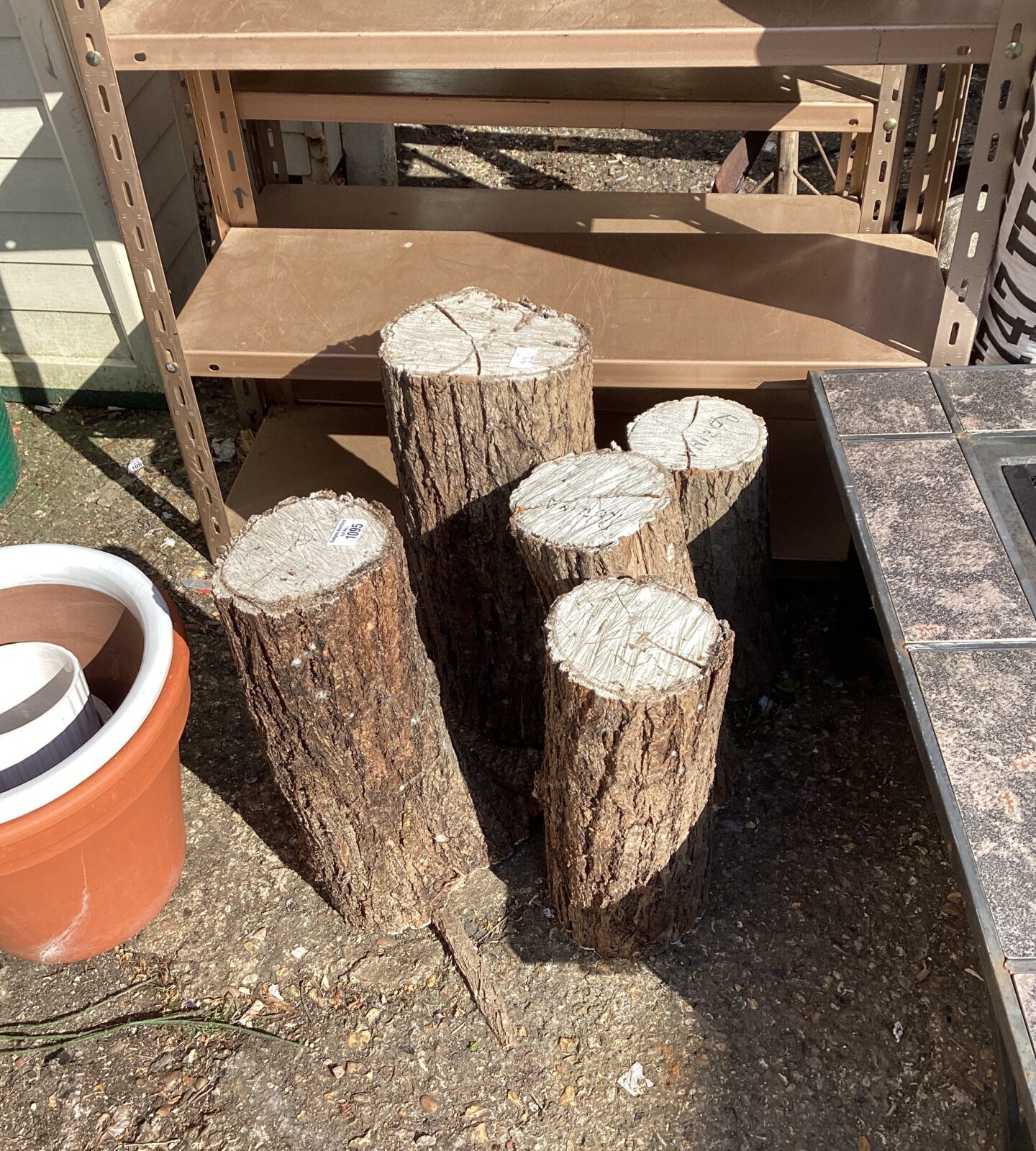 Five Robinia Turning blocks