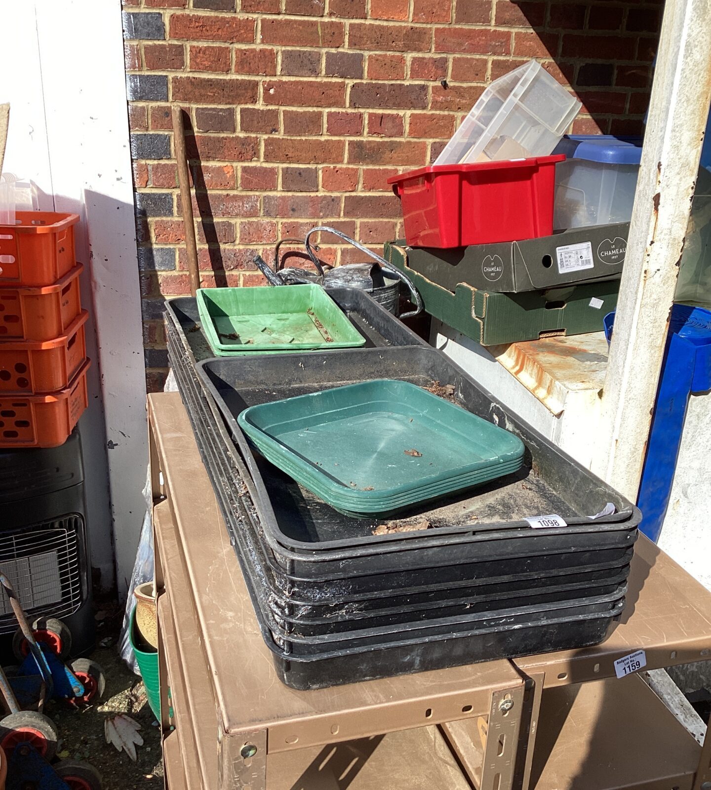 Quantity of greenhouse trays