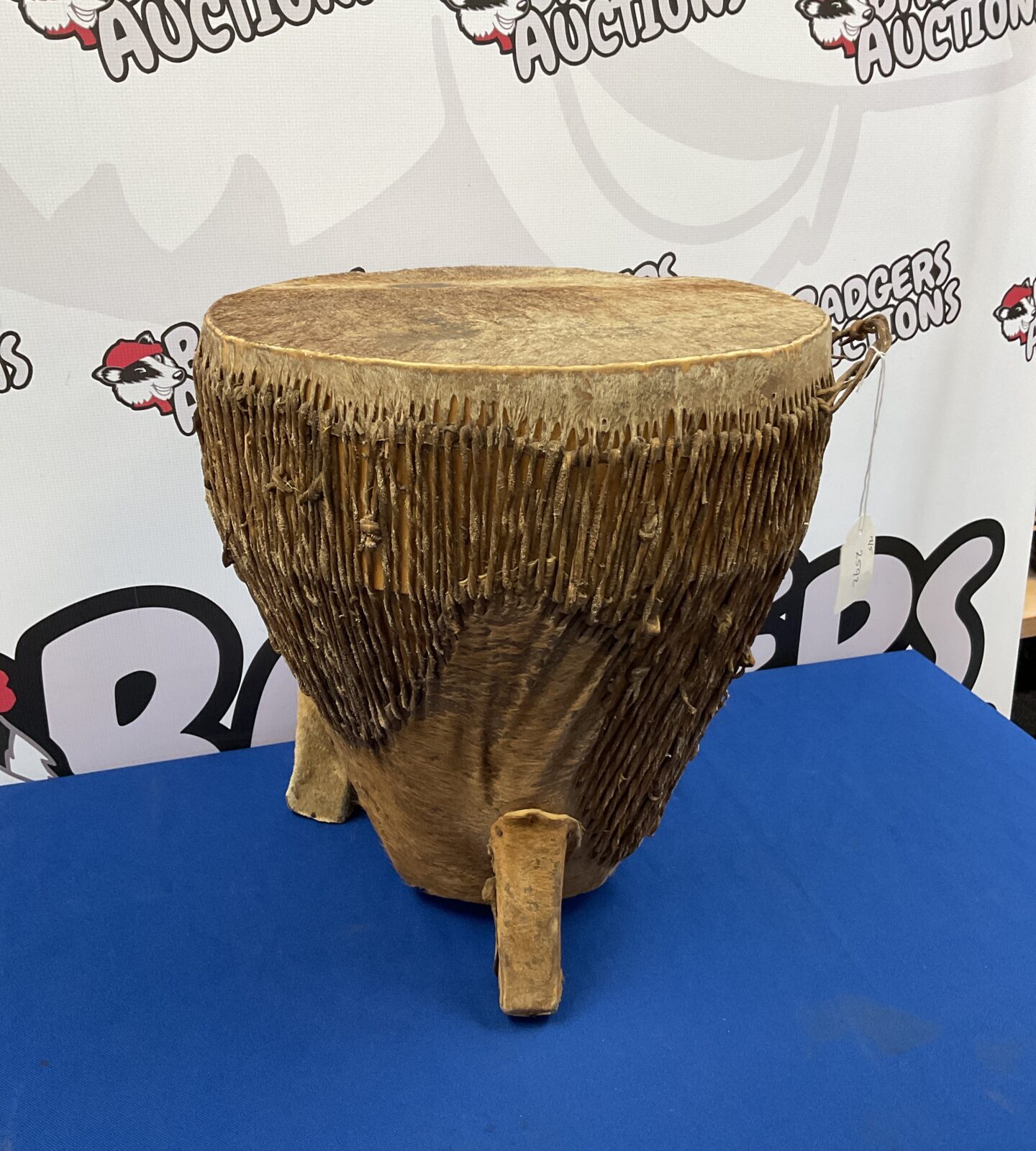 African cattle hide covered bongo