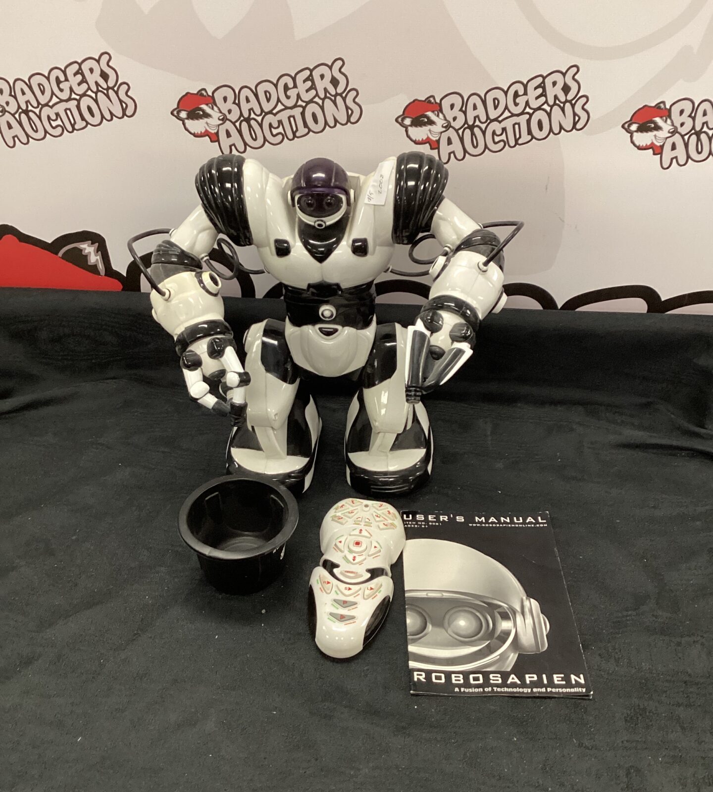 Robosapien remote control toy