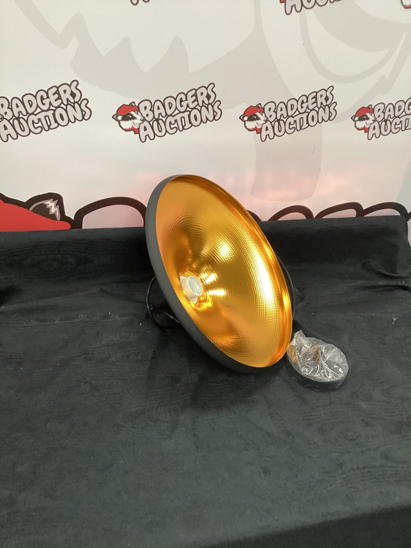 New in box Black Ceiling light