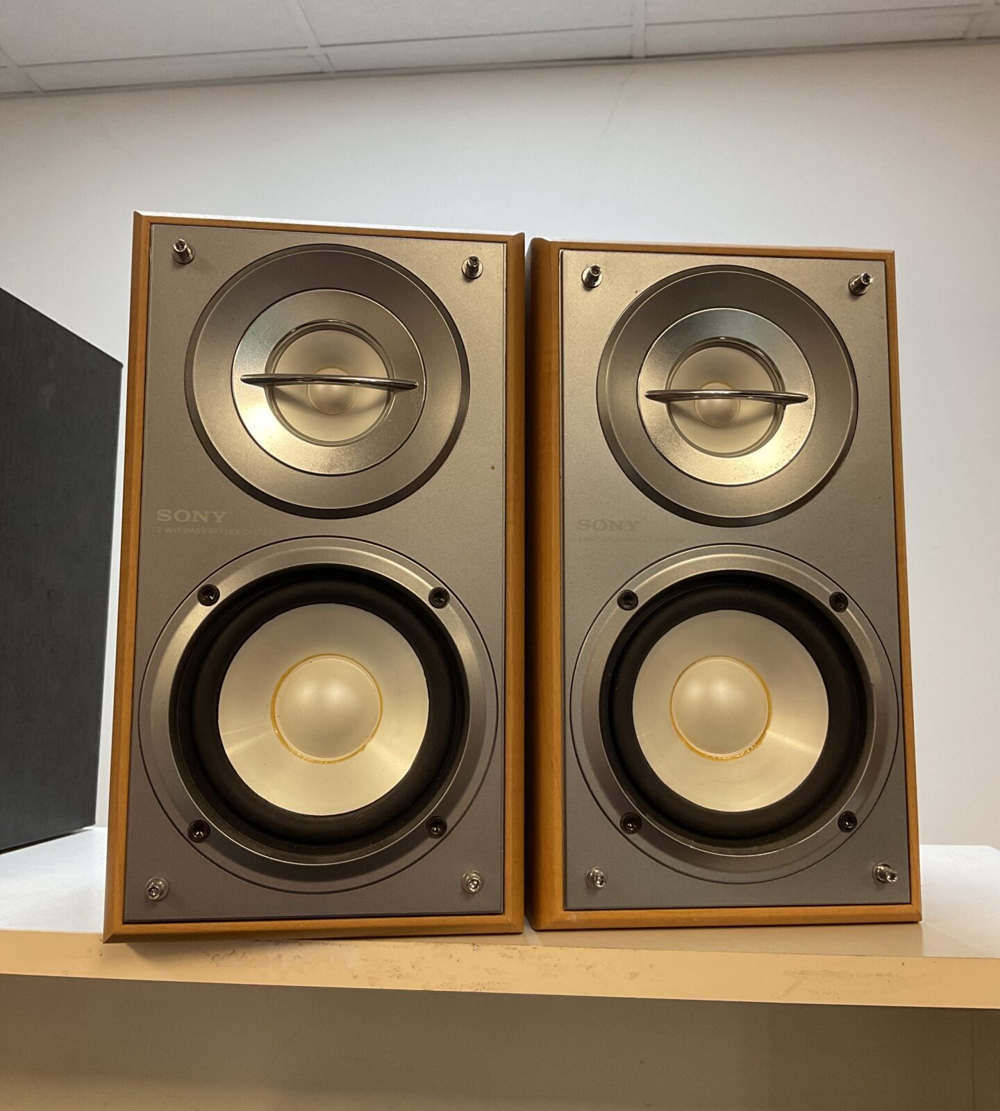 Pair of sony ss-crb5 speakers