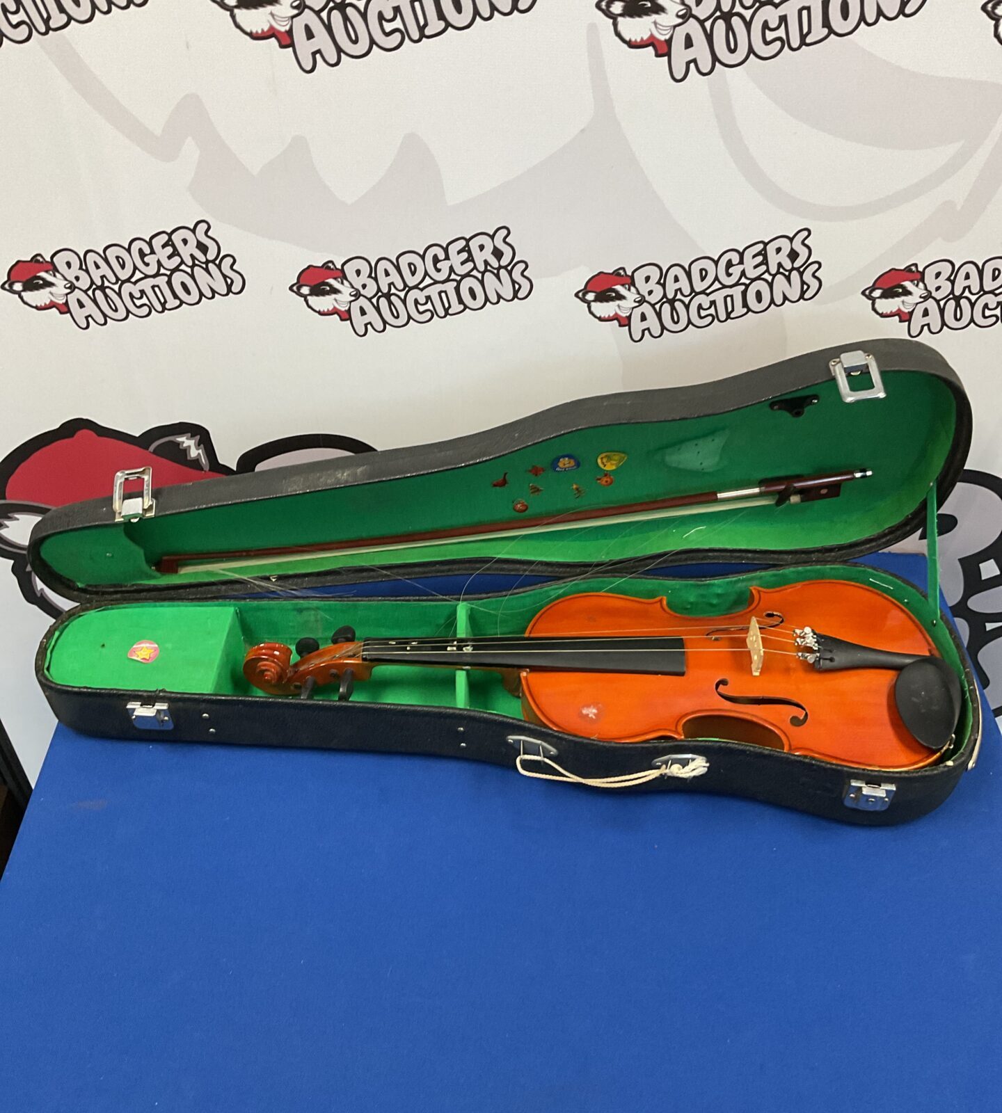 Skylark mv 007 violin in case