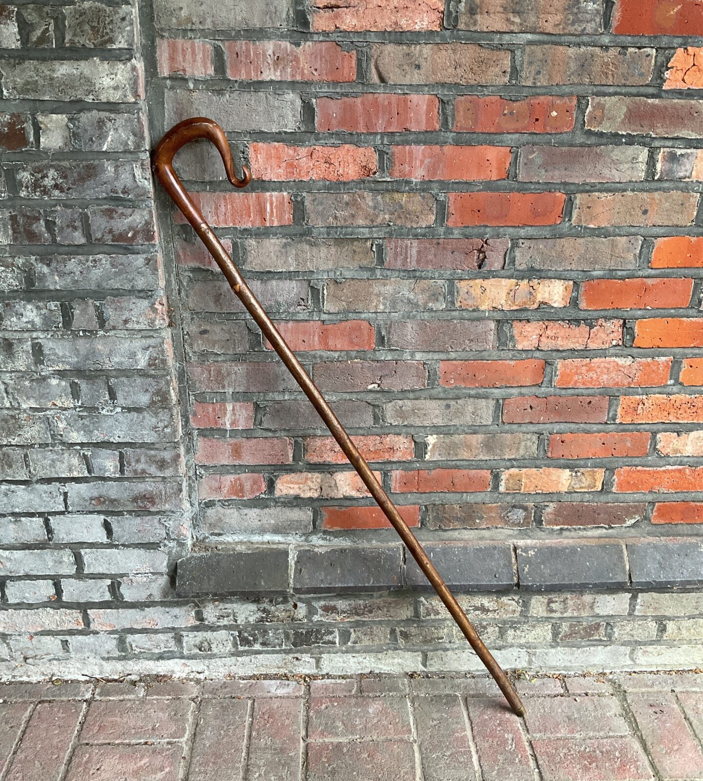 Walnut handled shepherds crook