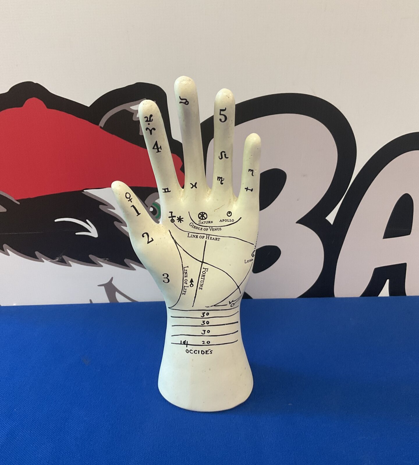 Palmistry palm reading hand