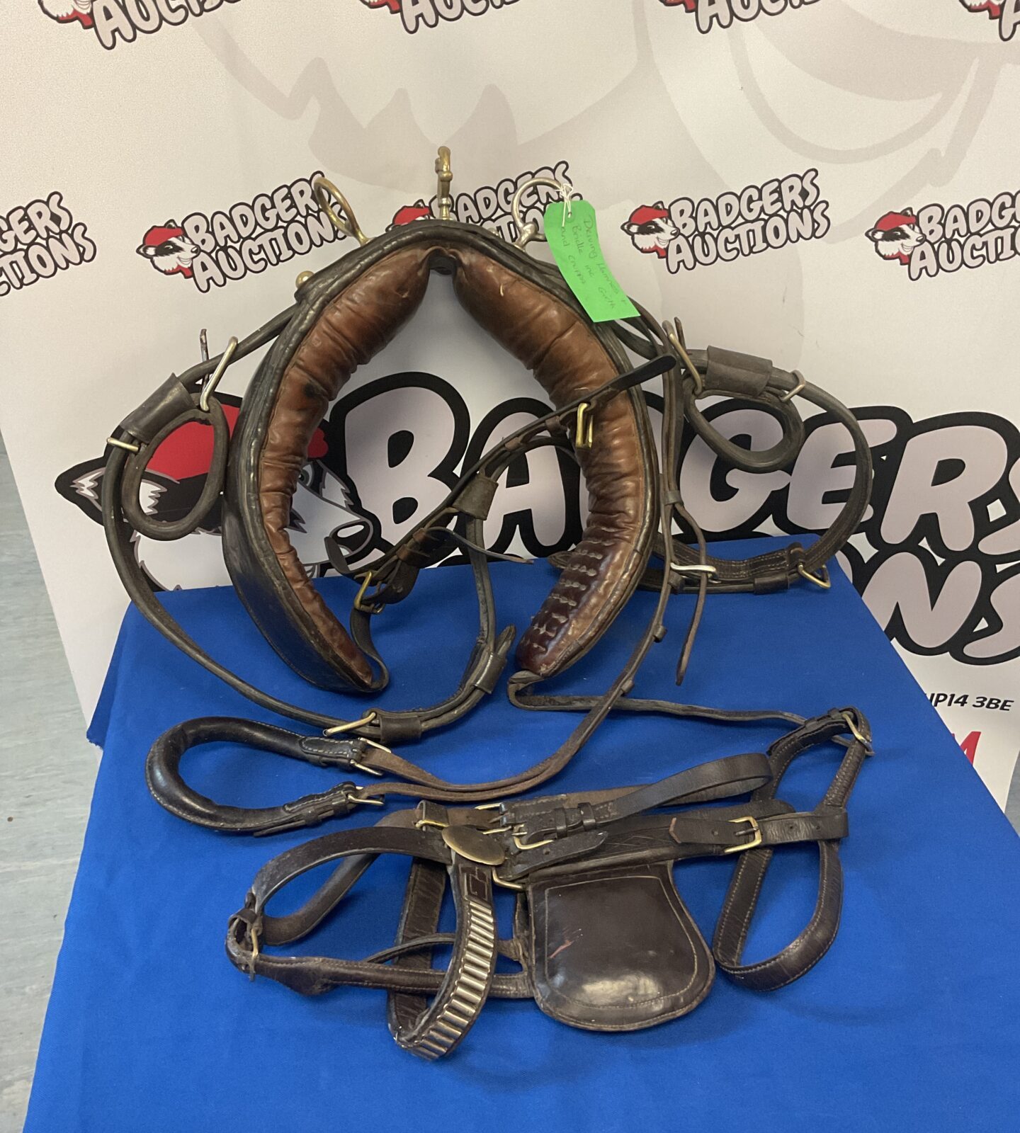 Leather horse driving harness with bridle with girth & cruppa