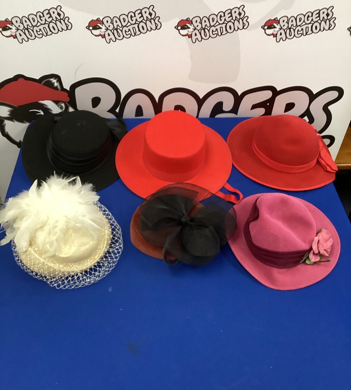 Six ladies occasional hats