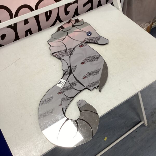 Seahorse Mirror