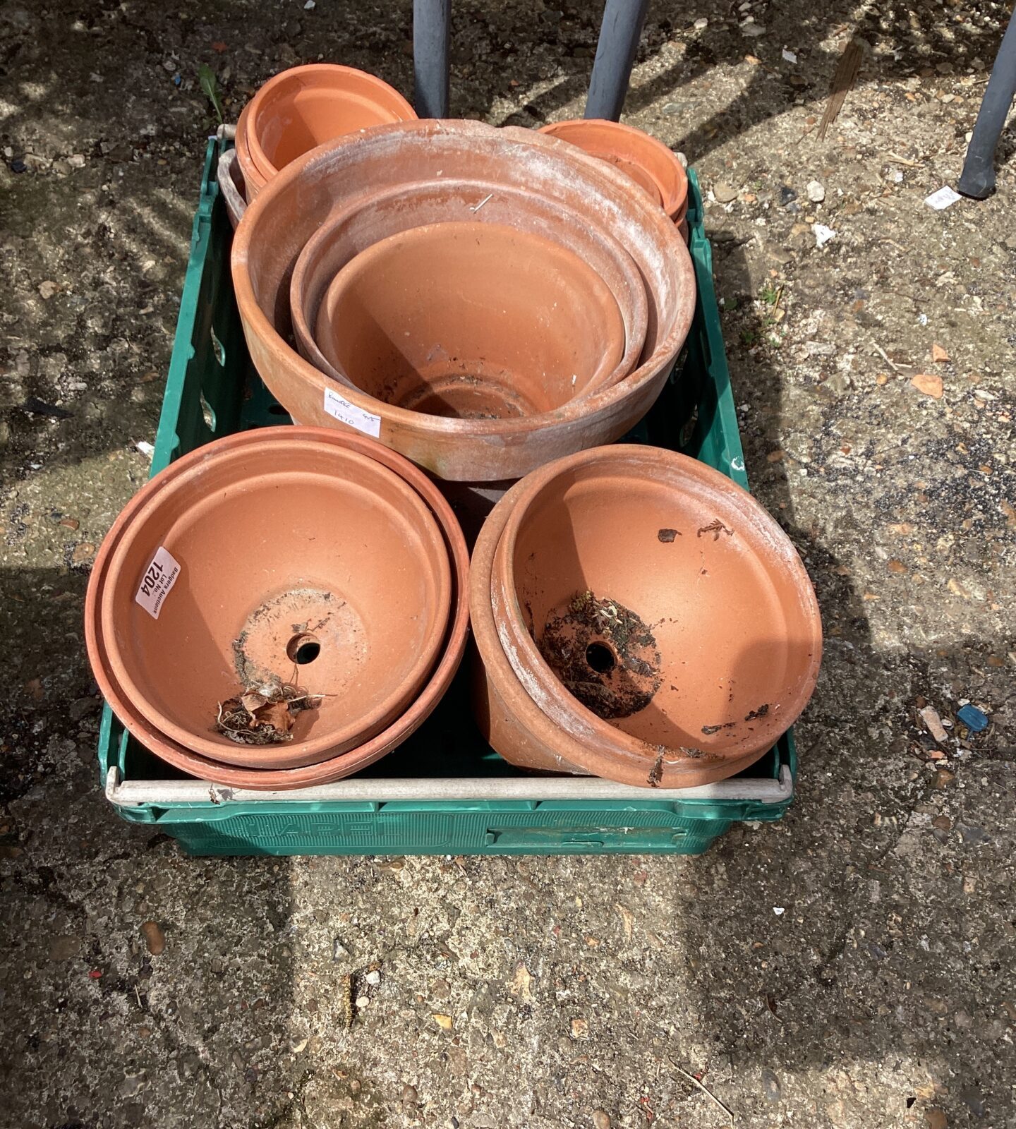 Tray of garden plant pots
