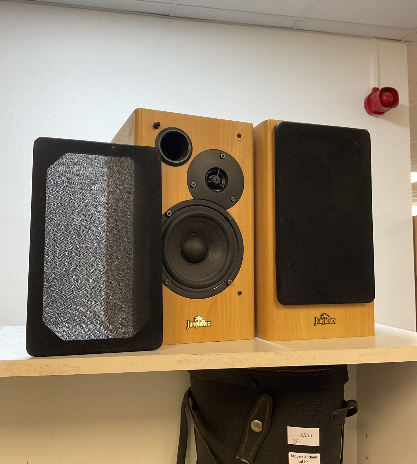 Pair of jungle rex active bookshelf speakers