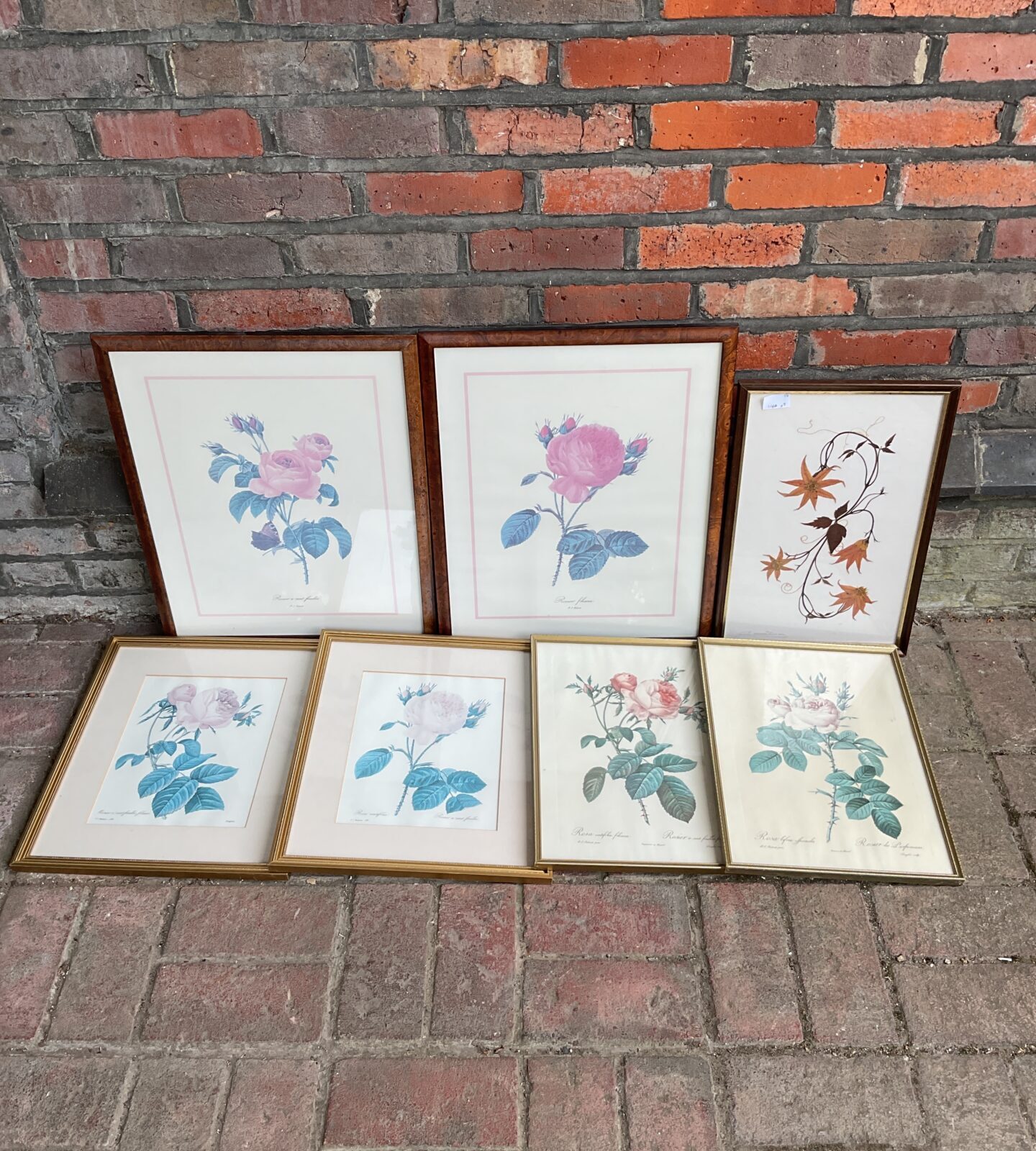 Collection of framed still life prints & dried flowers