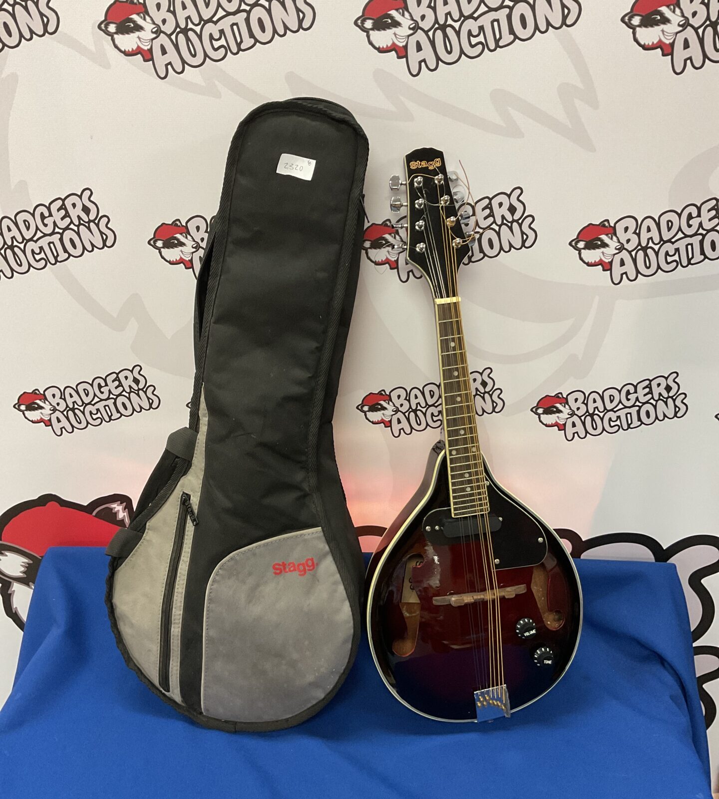 Stagg m50e electric mandolin