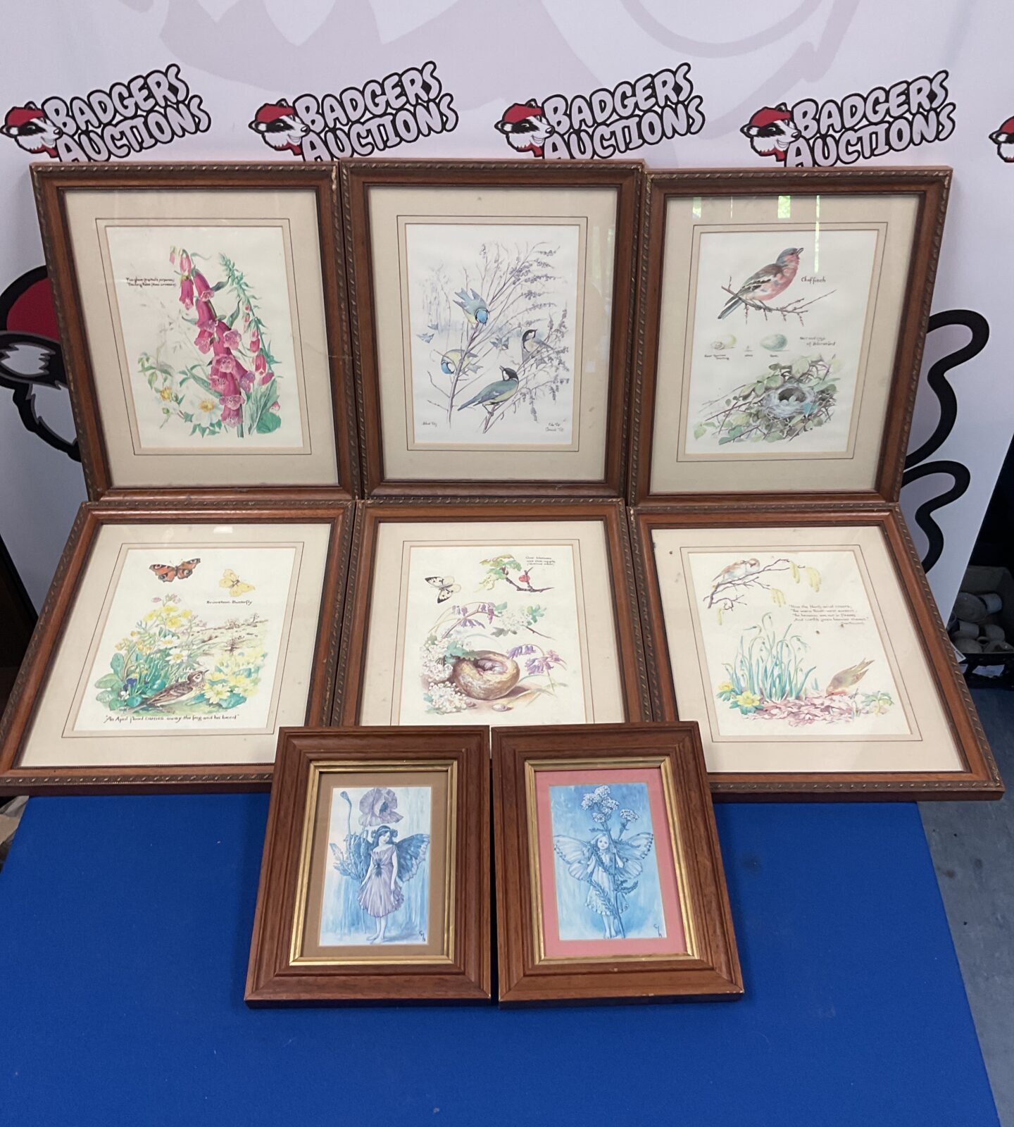 Eight framed wildlife & fairies prints