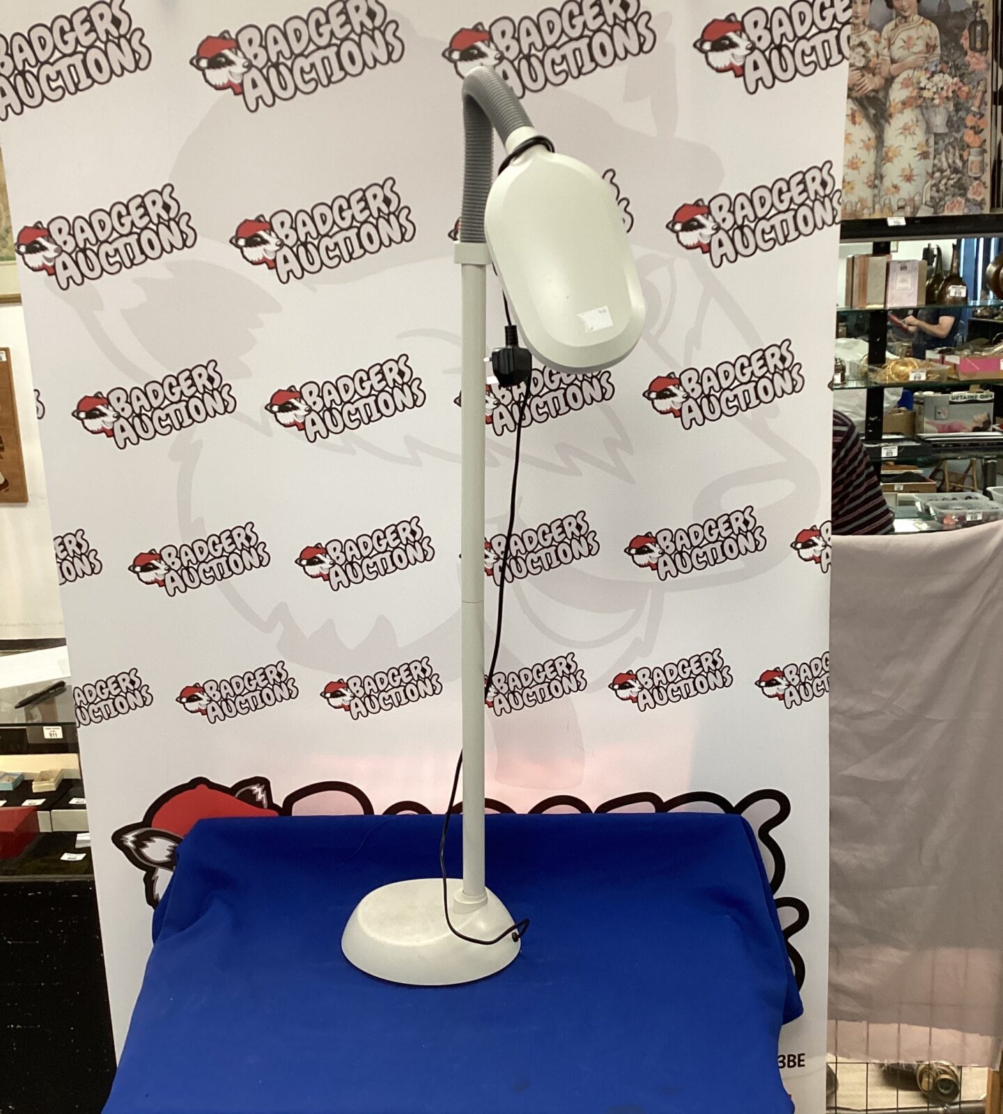Reading lamp with flexible head