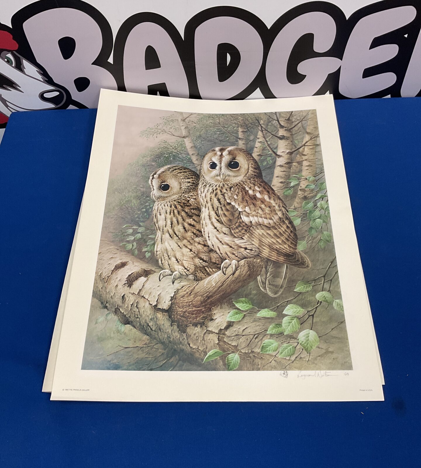 raymond watson 1984 signed print of tawny owls