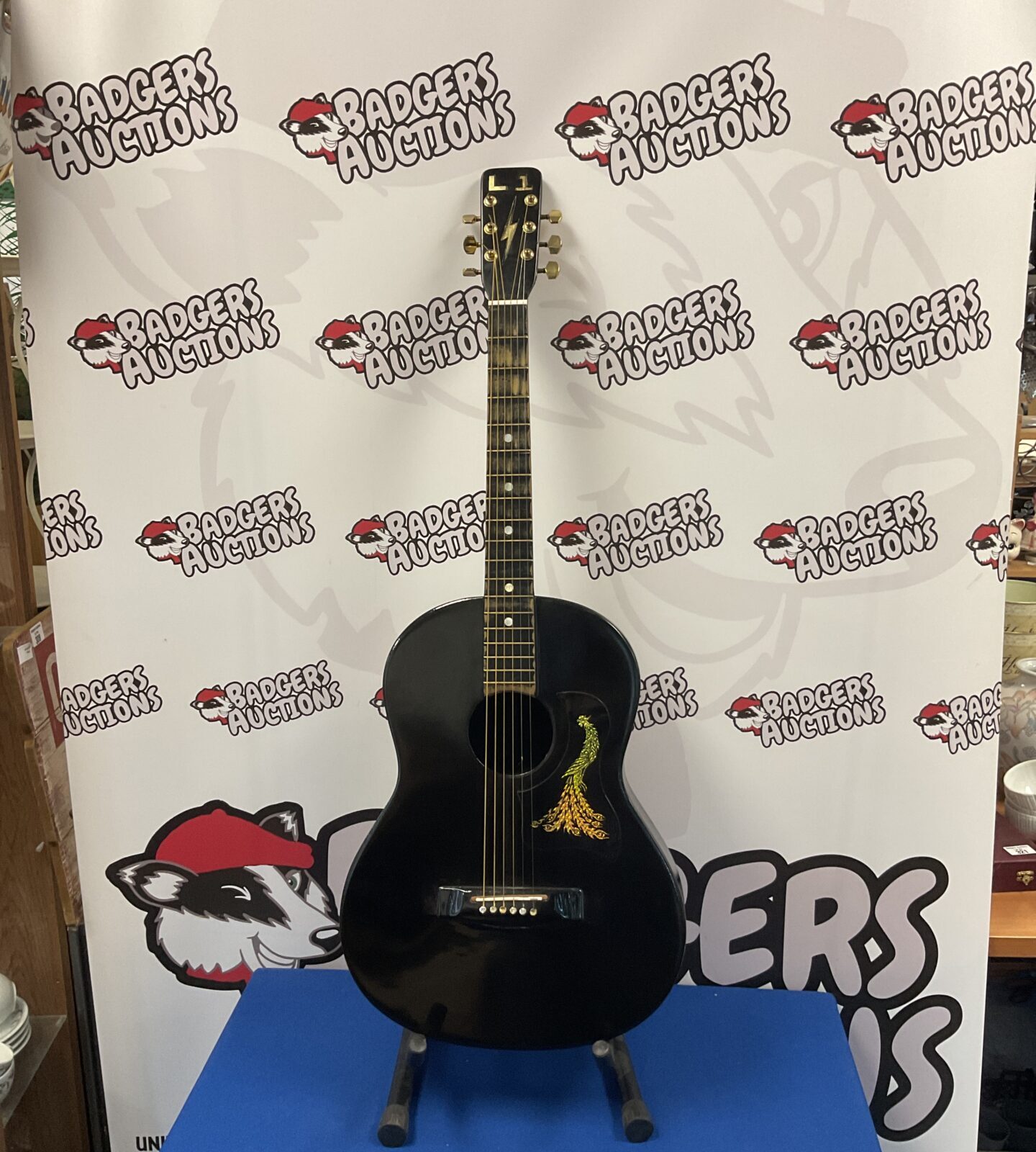 L1 electro acoustic customised guitar
