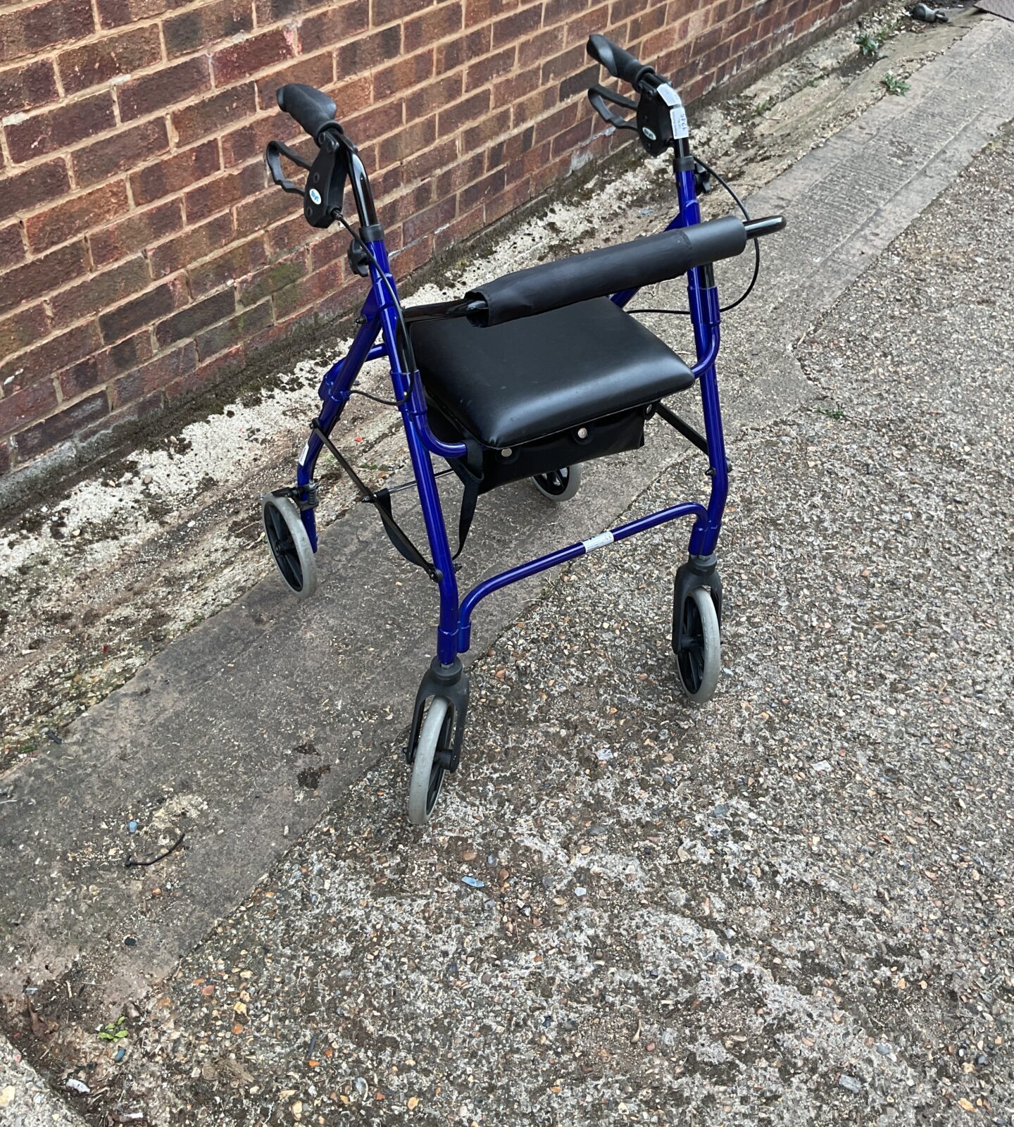 Days walking assistance trolley