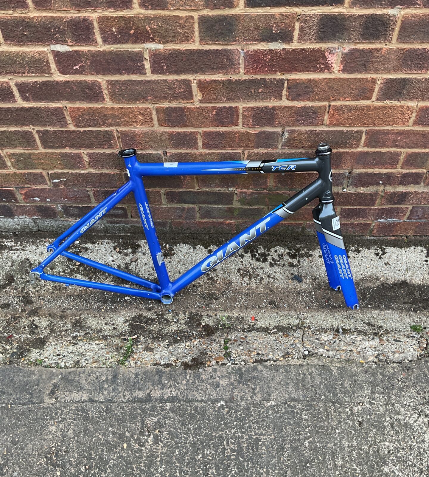Tcr giant bike frame