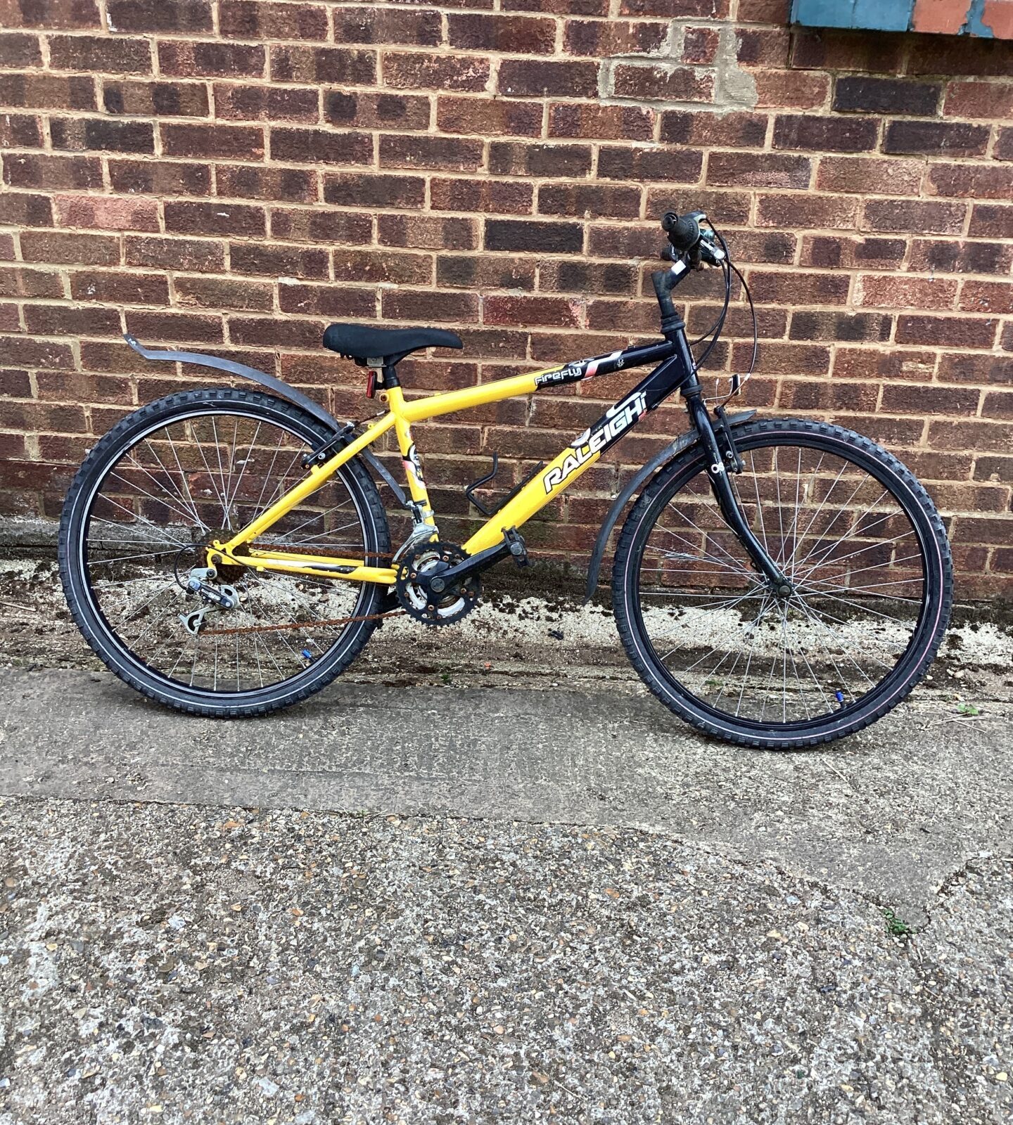 Raleigh Firefly Bike