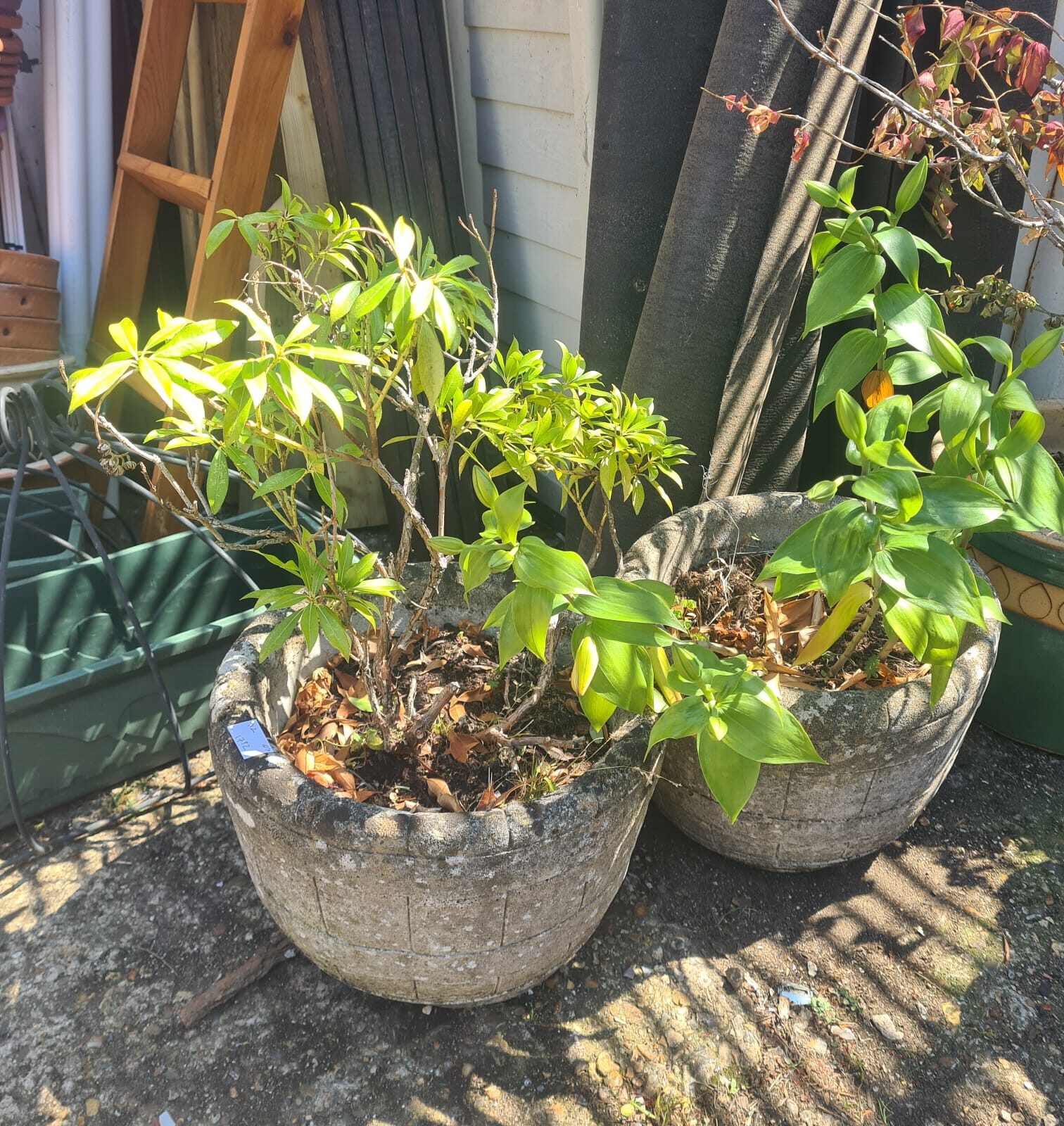 Two stone garden planters
