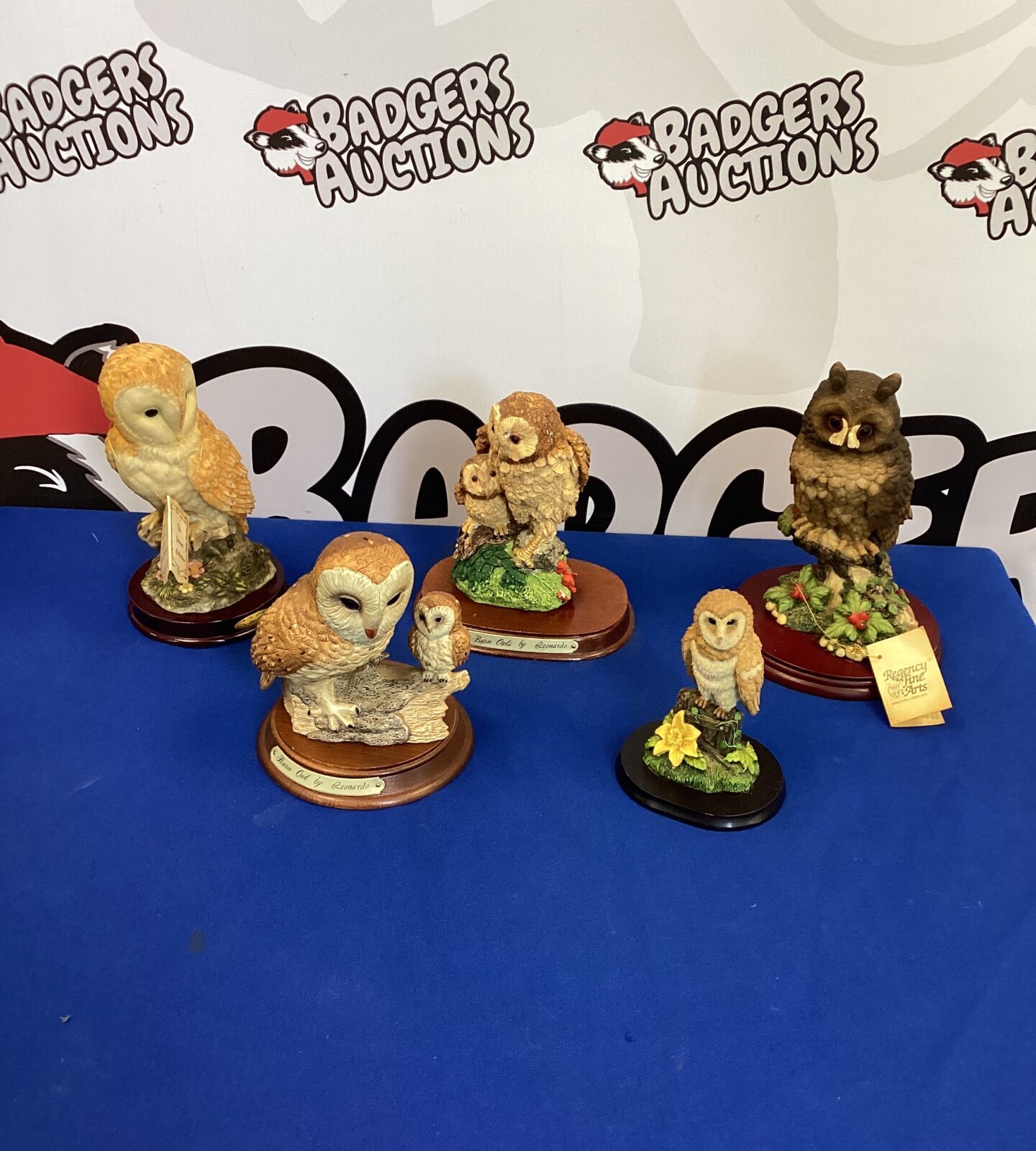 Collection of Owl Figurines