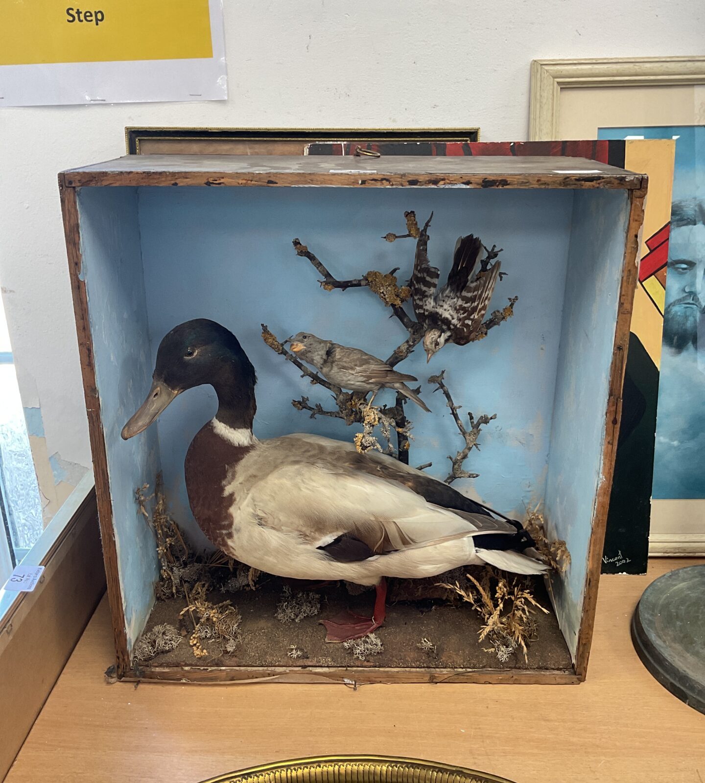 Victorian taxidermy duck with birds in tree