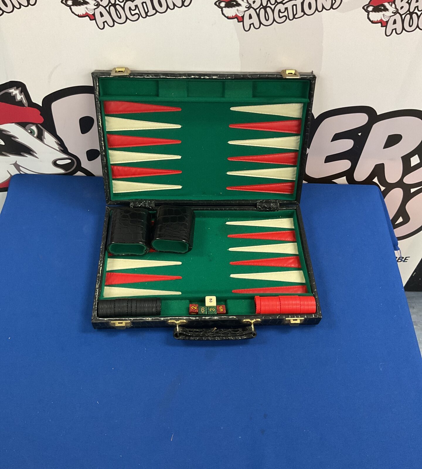 Backgammon set in case