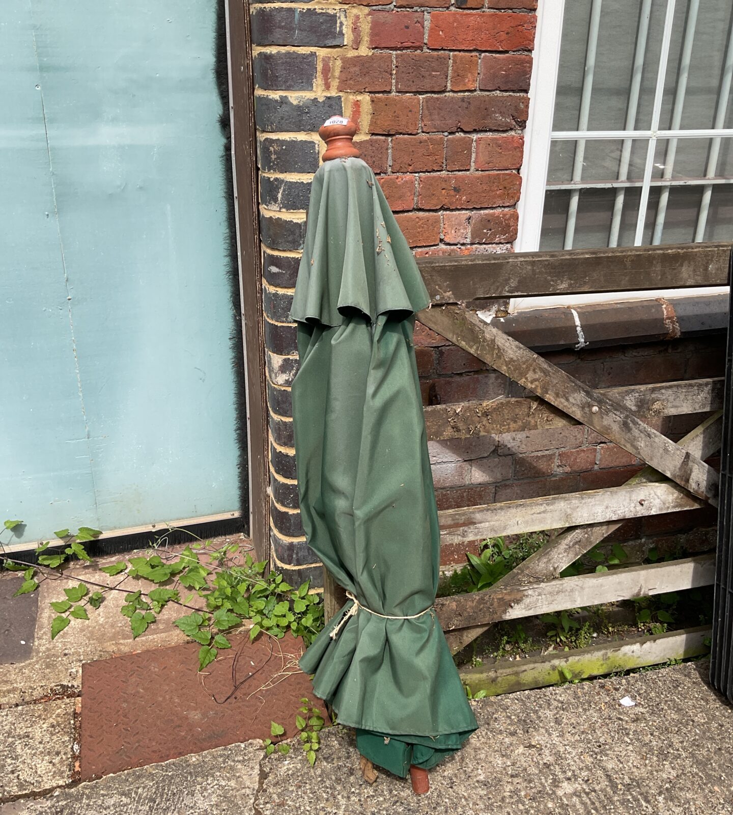 Green garden parasol