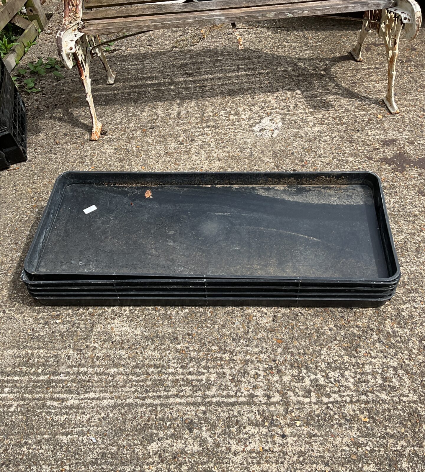 Lot of 5 black seedling trays