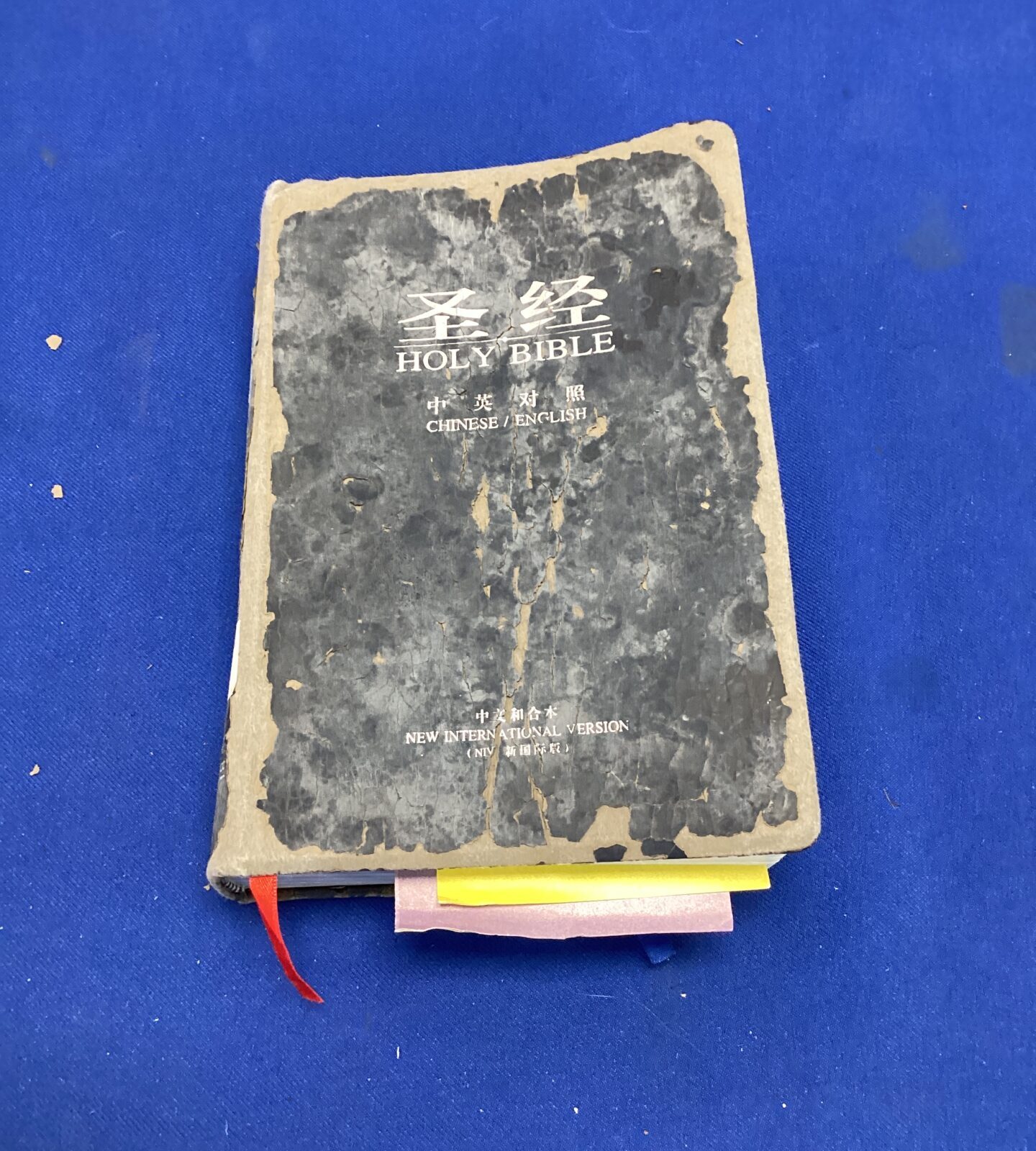 Vintage Chinese / English bible