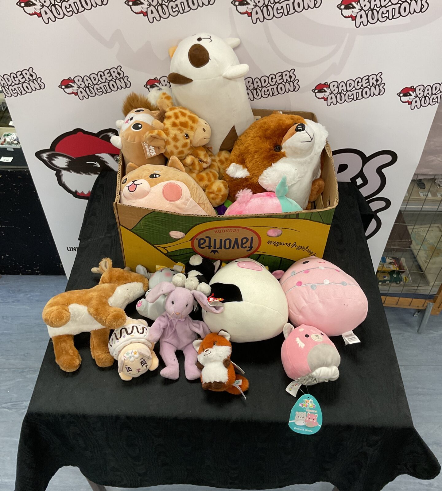 Box of mixed teddies and soft toys inc sqishmellows, kenji amd ty beanies