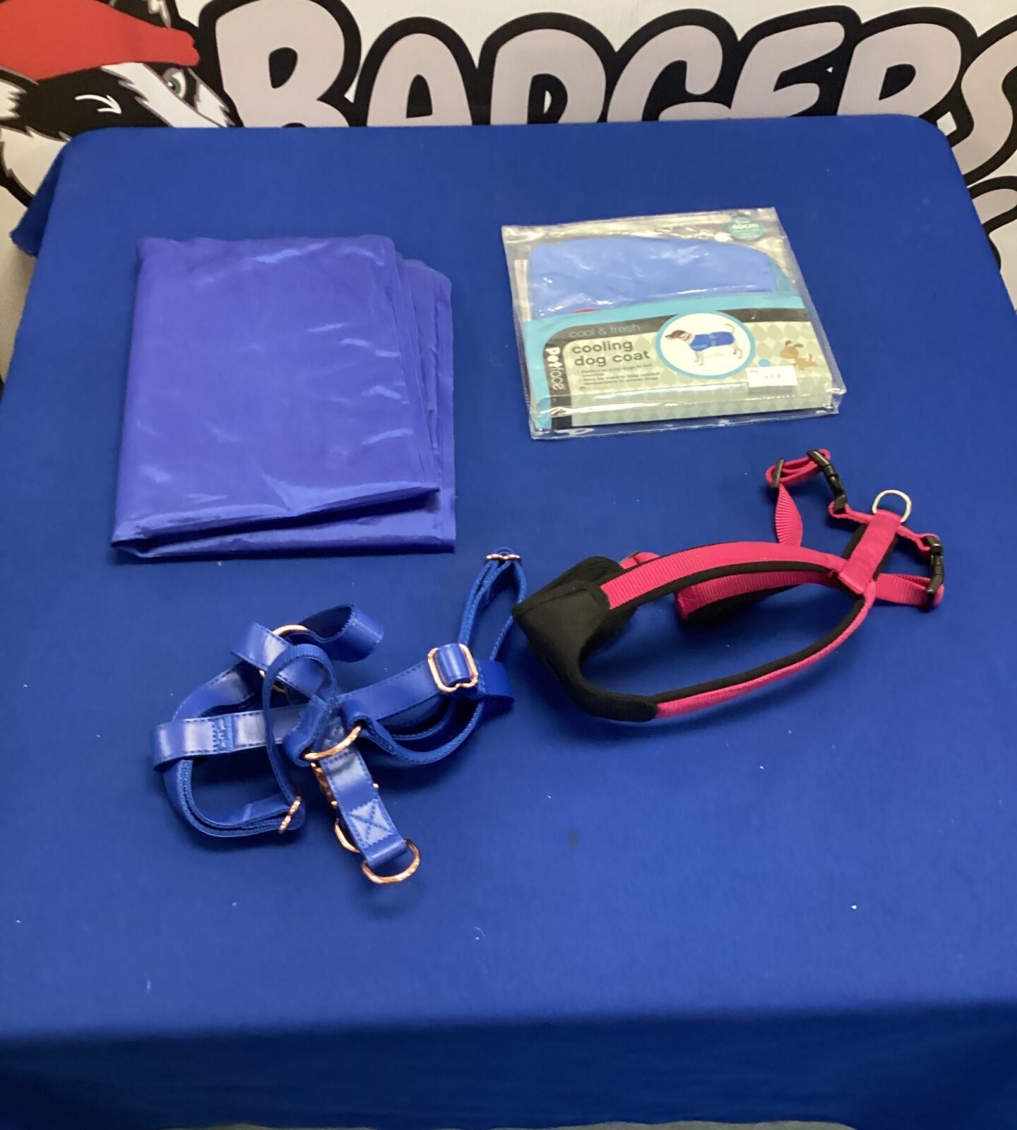 Two dogs walking harnesses, cooling pad & colling dog coat