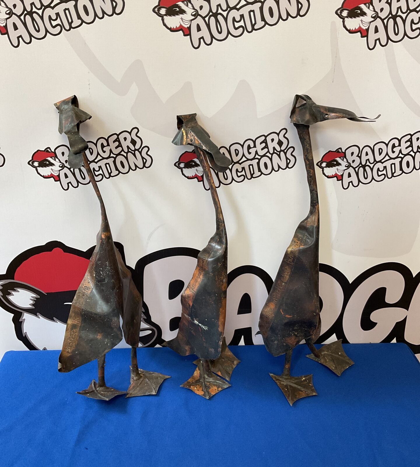 Three fastest bird in the farmyard copper ducks