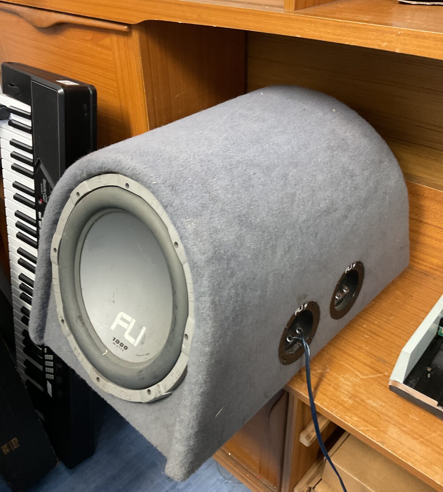 Double flu 1000w car subwoofer