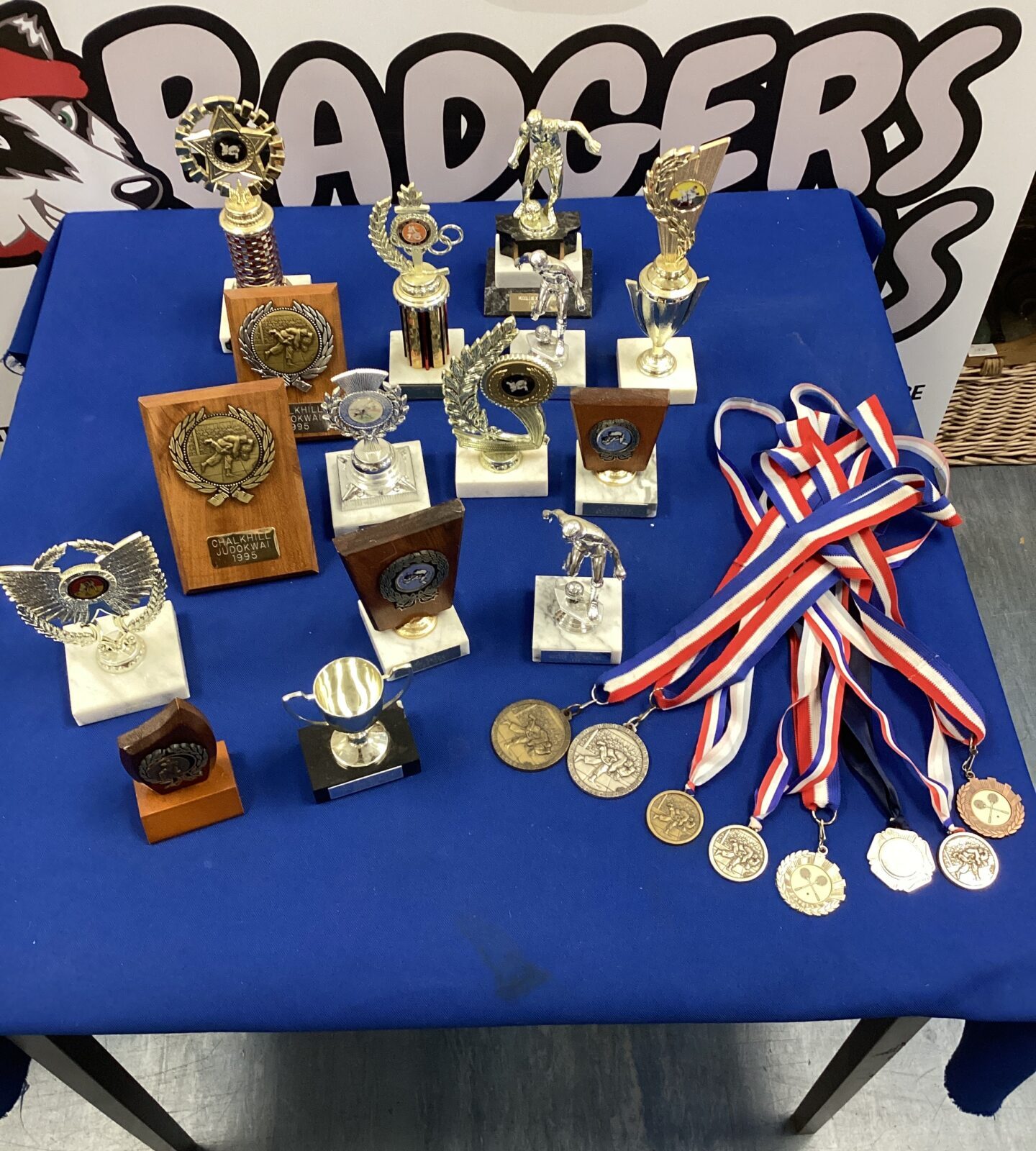 Box of mixed trophies & medal of taekwondo, judowai & tennis