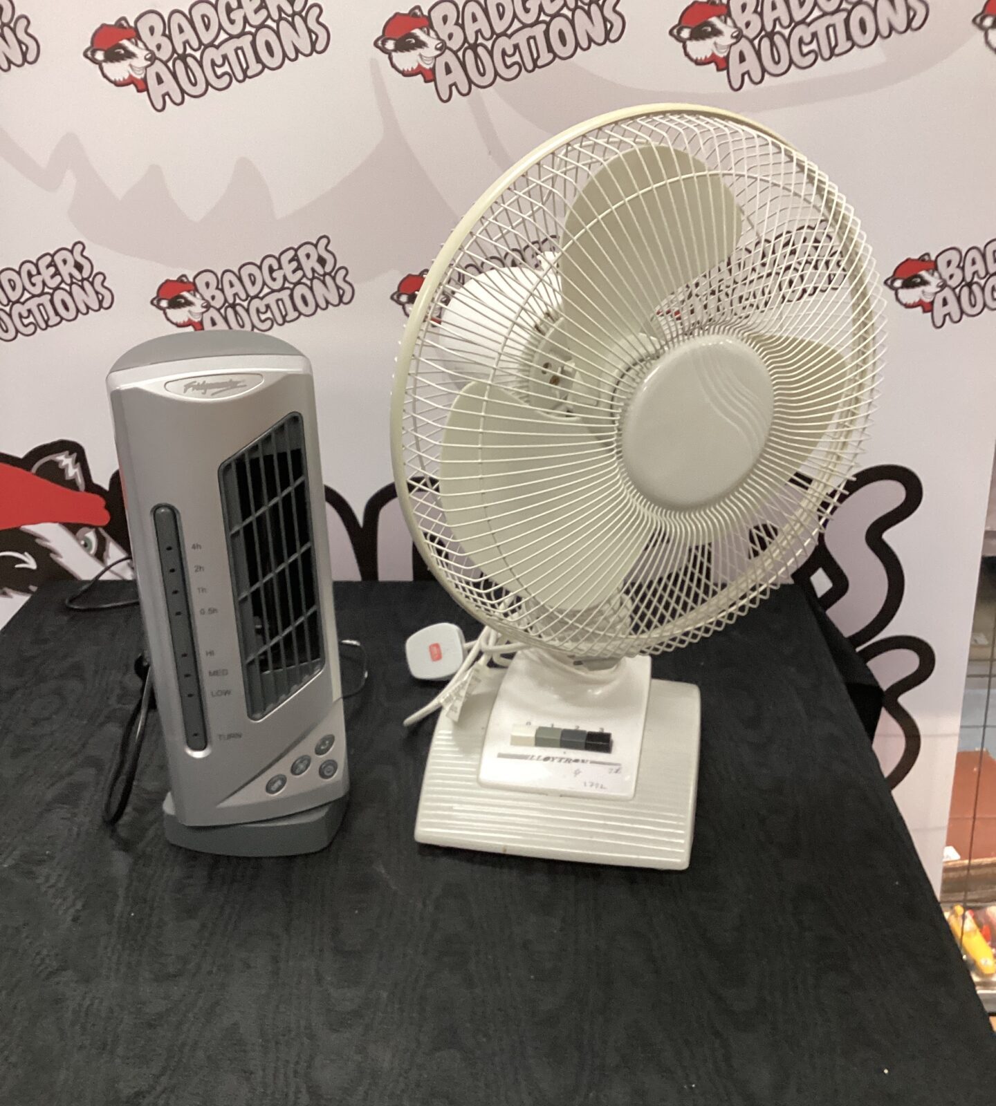 Fridgemaster tower fan &  lloytron desk fan