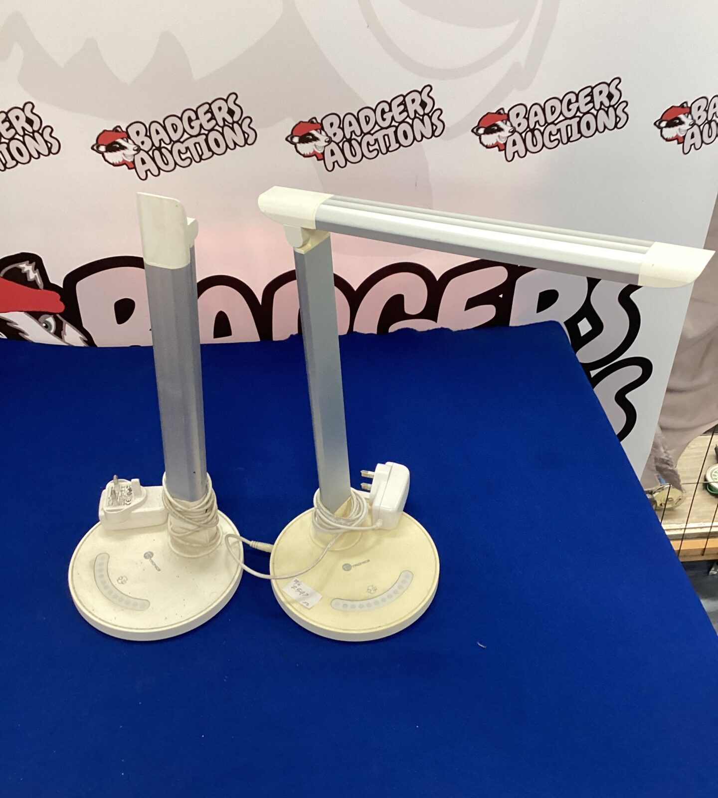 Two tao tronics LED desk lamps