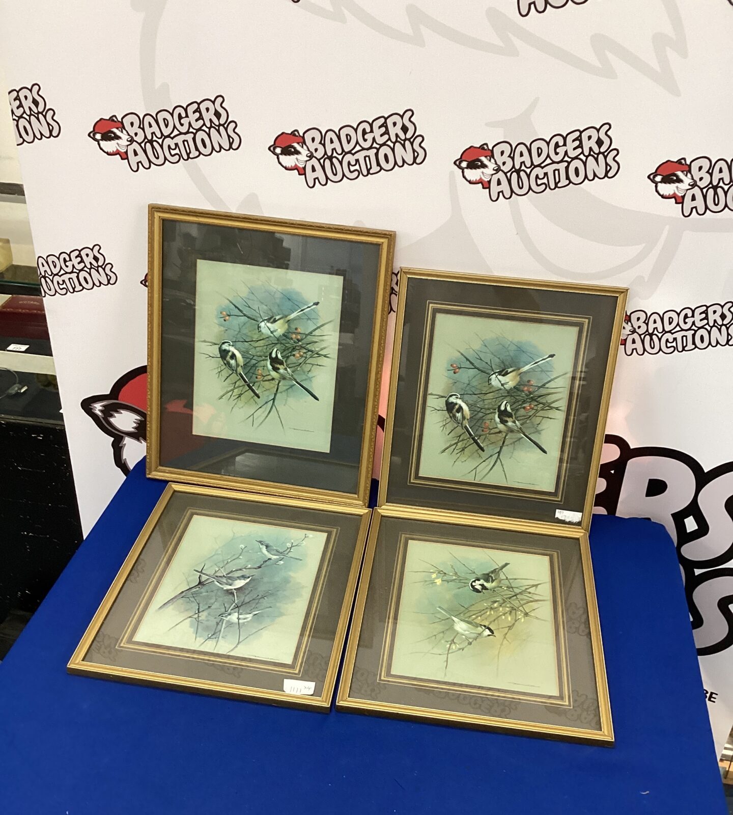 Four Framed Prints of British Birds
